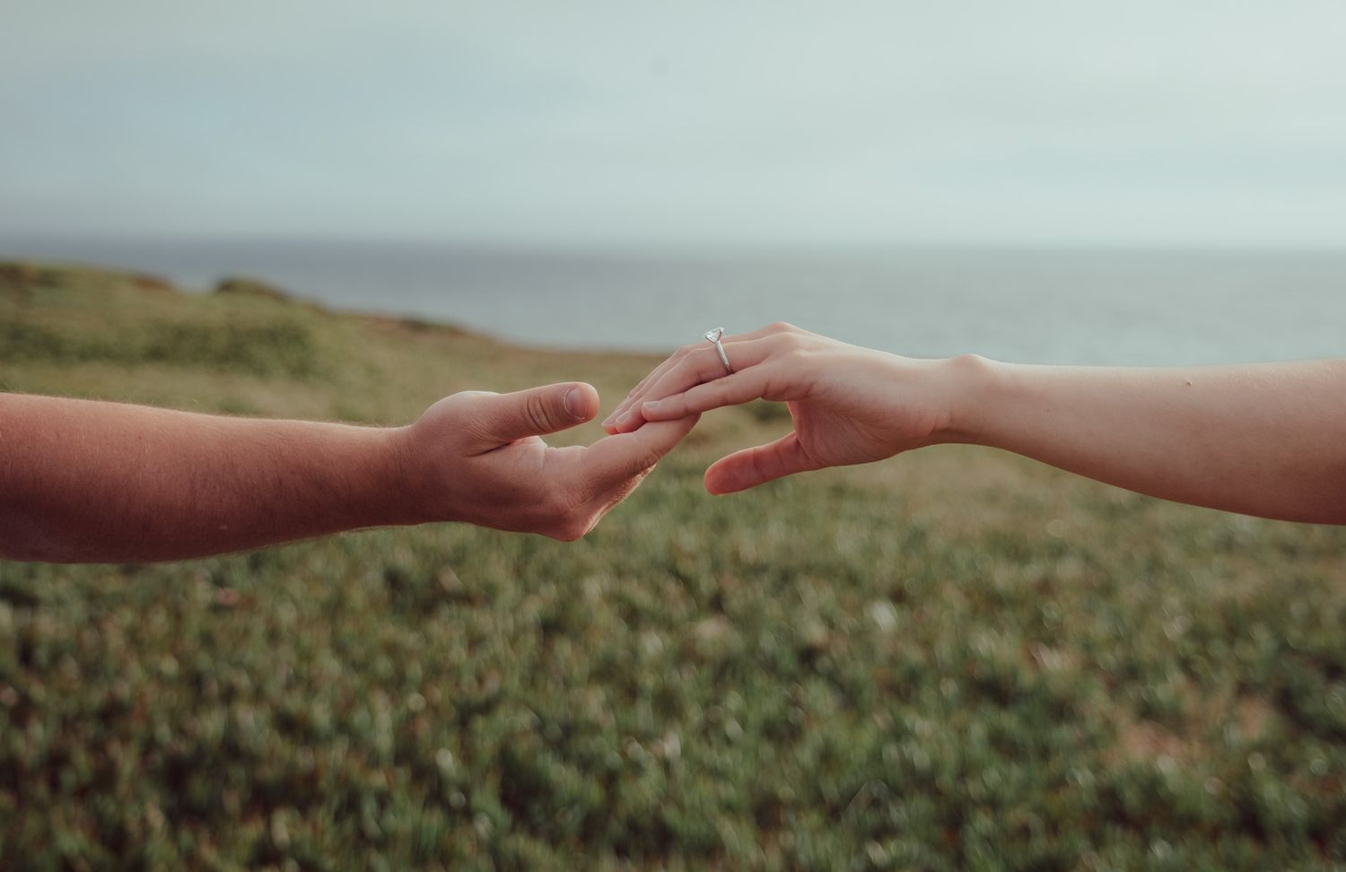 Two hands reaching towards each other against a blurred green field and sky background.
