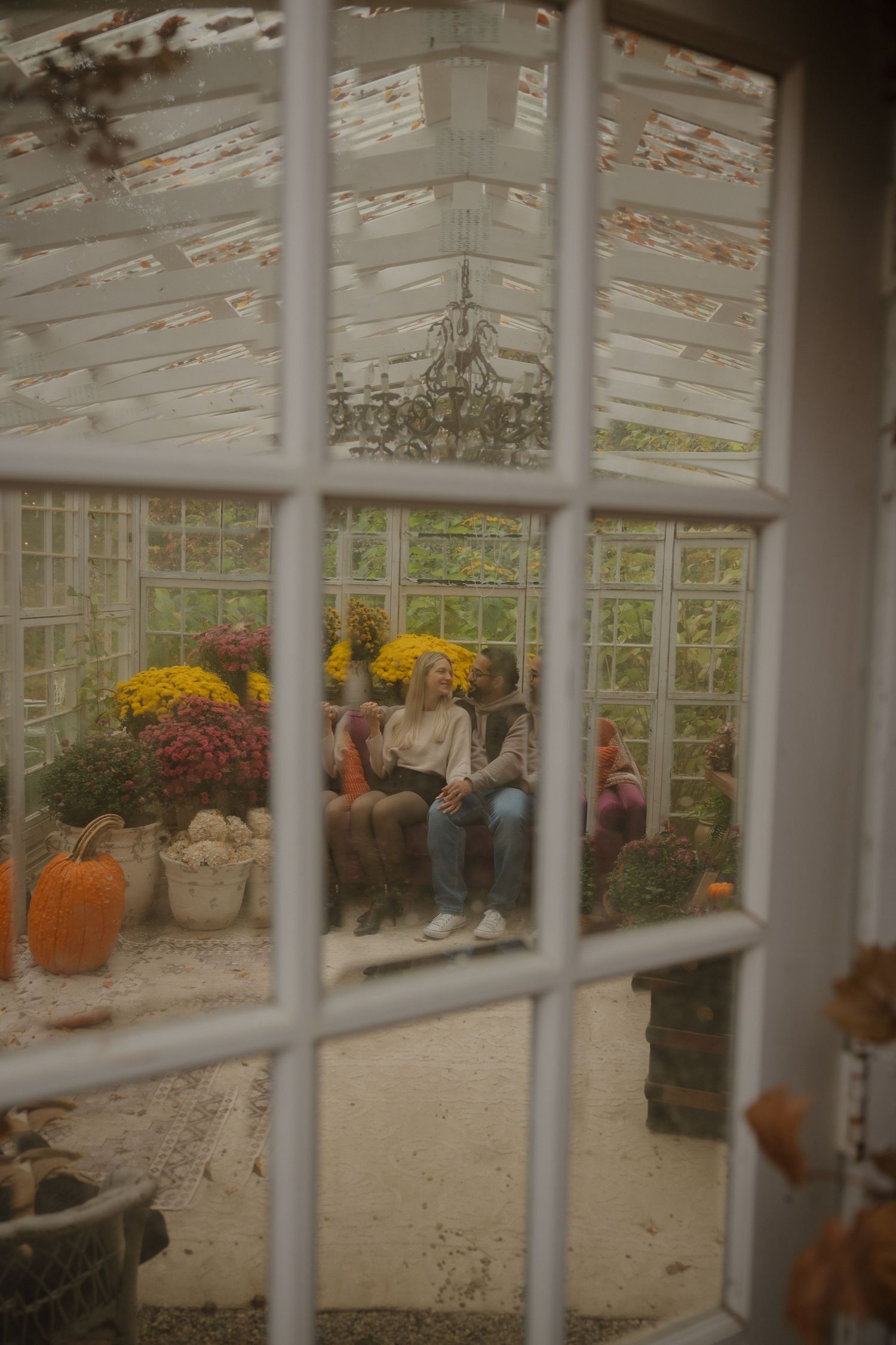 Autumn display of pumpkins and mums inside a white-framed greenhouse with natural light streaming through the windows.