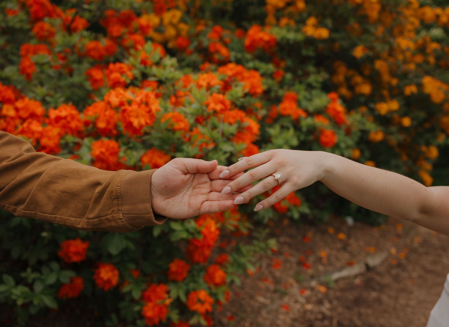 Two hands reaching toward each other with orange and red flowers blooming in the background, one wearing an engagement ring.