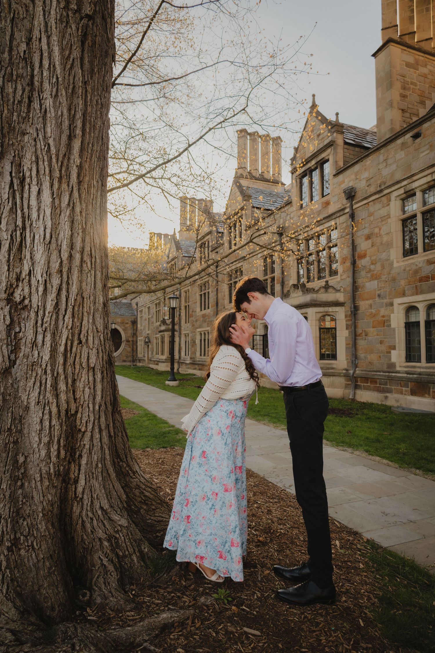 Couple sharing a romantic moment near a large tree on a college campus pathway at golden hour.