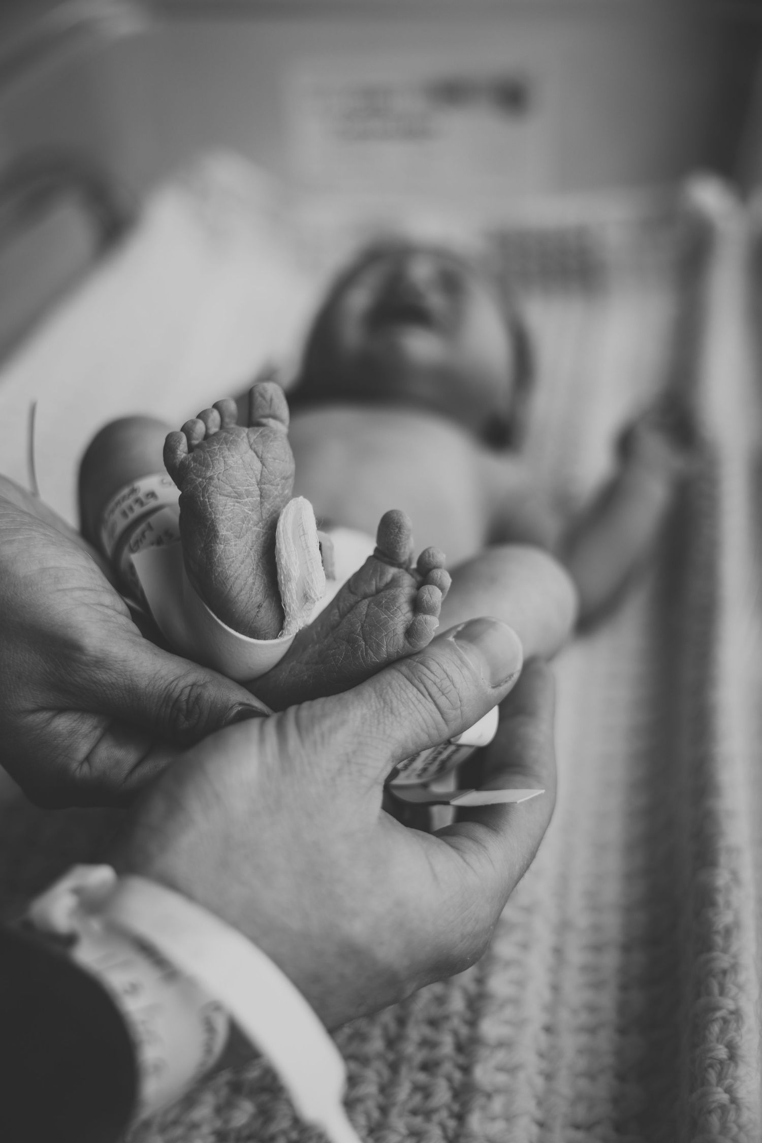 Black and white close-up of tiny newborn baby feet being held in adult hands.