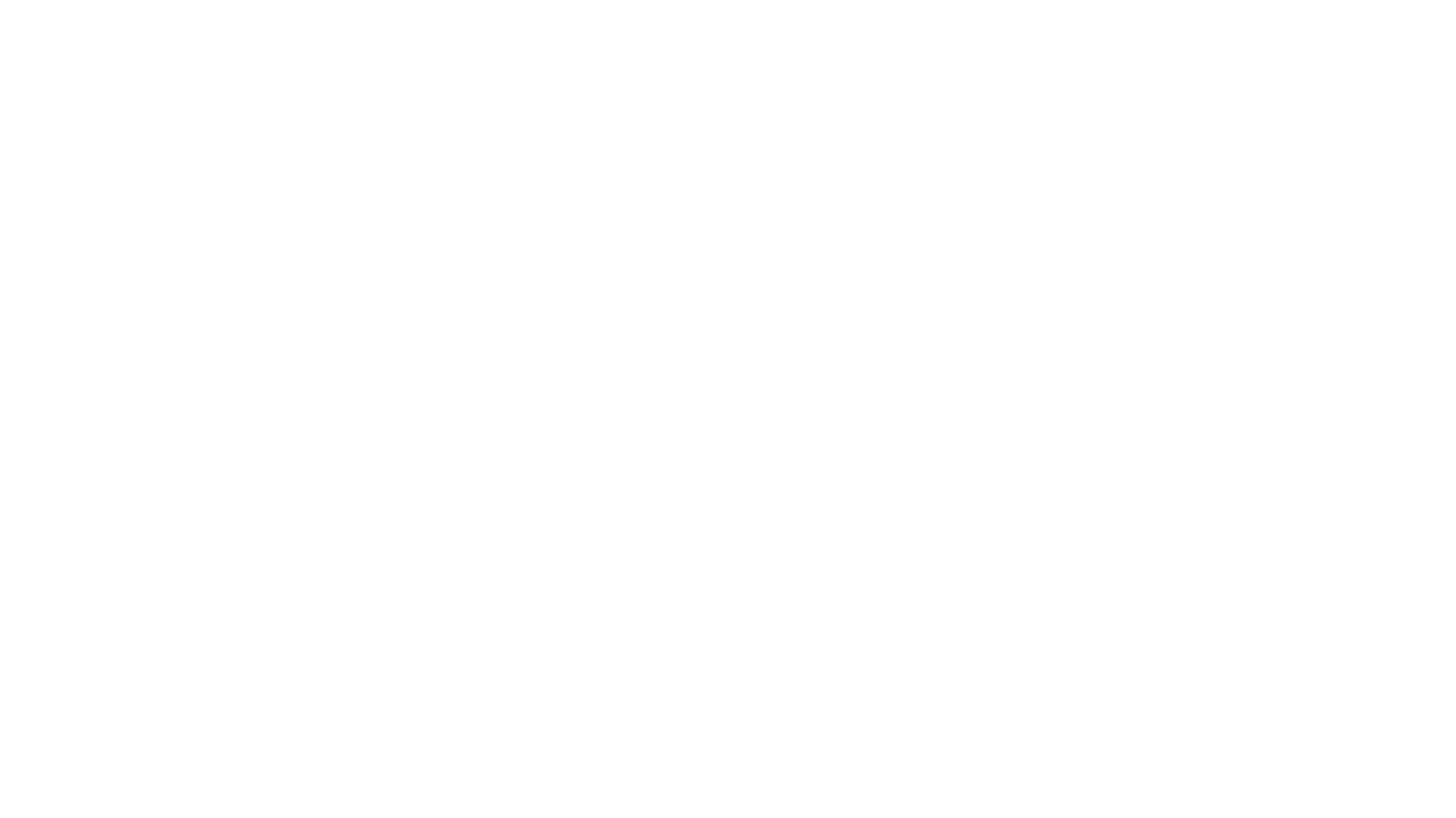 A white camera logo design with silhouettes of birds on both sides for CDR Images Photography and Videography.