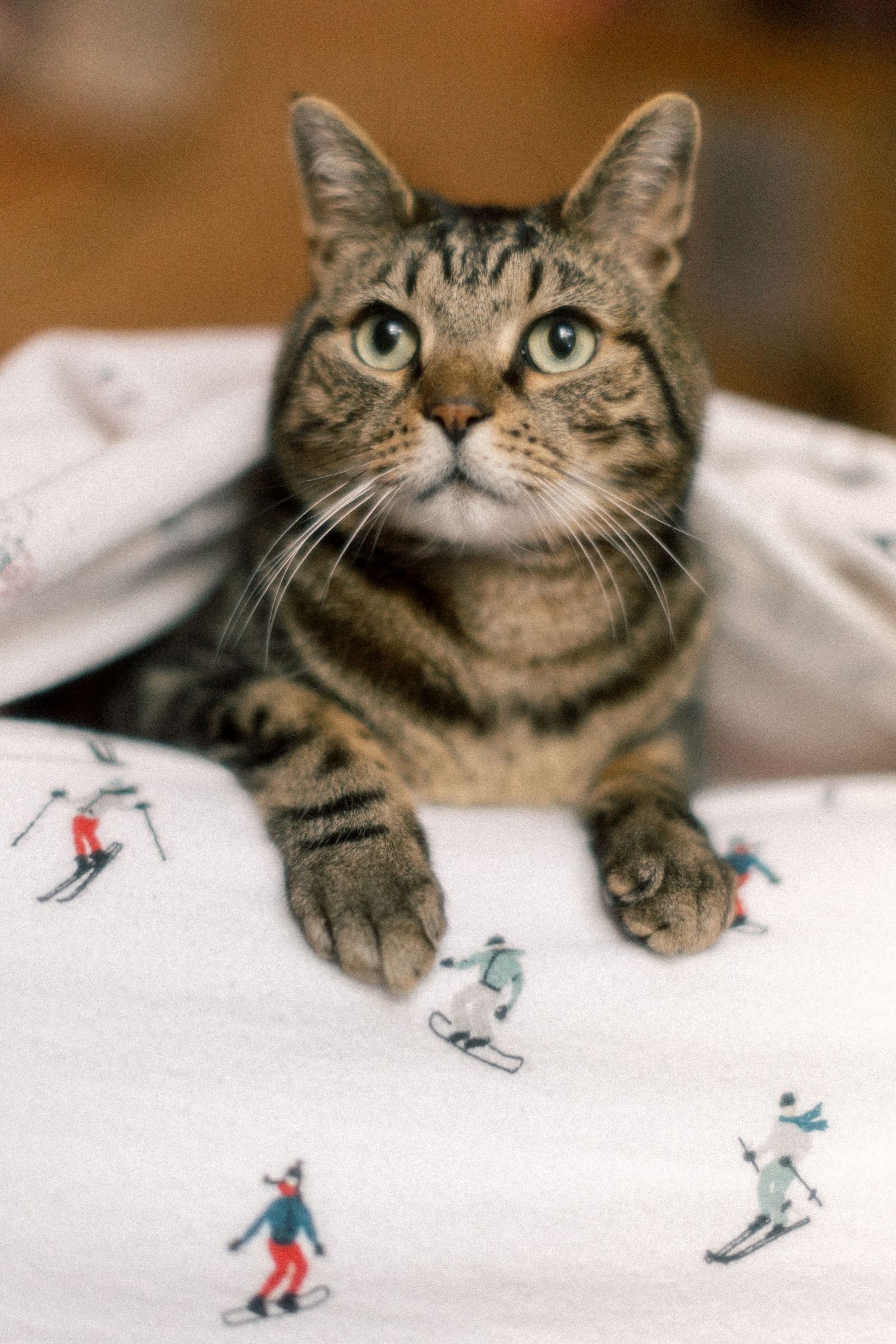 Tabby cat lying on white bedding with printed skier pattern, looking up with bright green eyes.