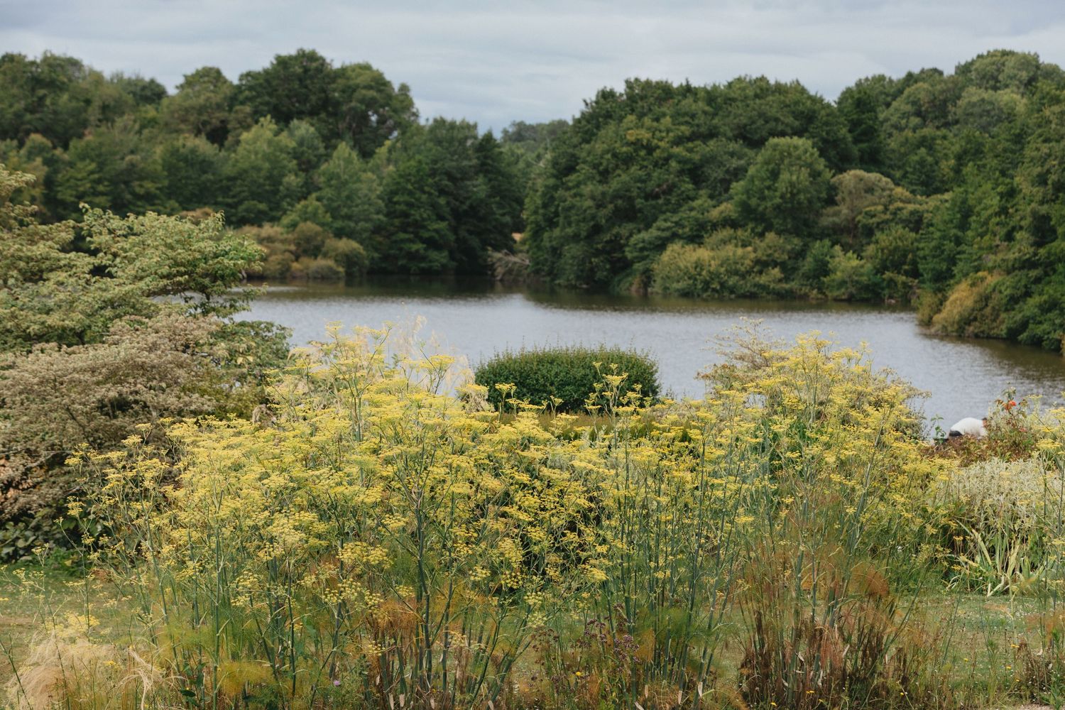 Domaine des Etangs Auberge Collection France