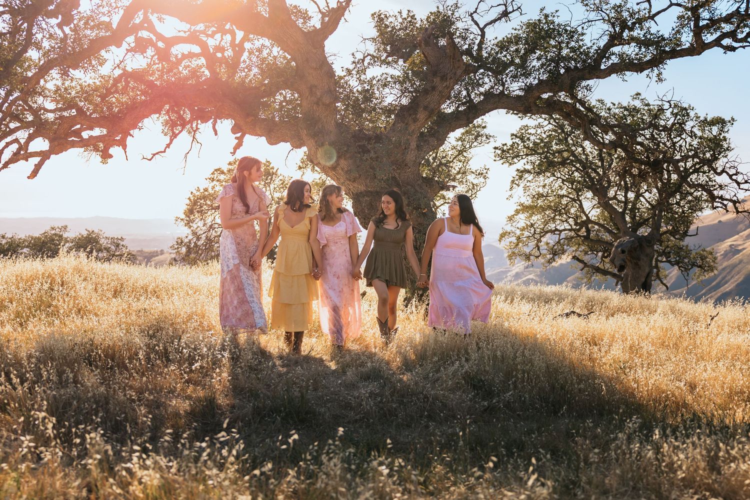 Five women in flowy pastel dresses walk together in a golden sunlit field beneath a large oak tree.