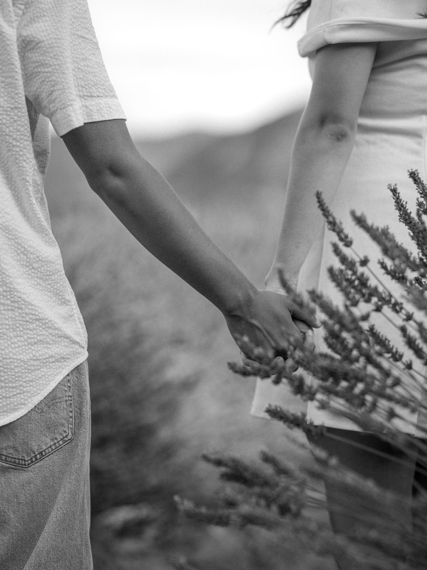 Black and white photo of a couple holding hands in a lavender field, romantic outdoor portrait.