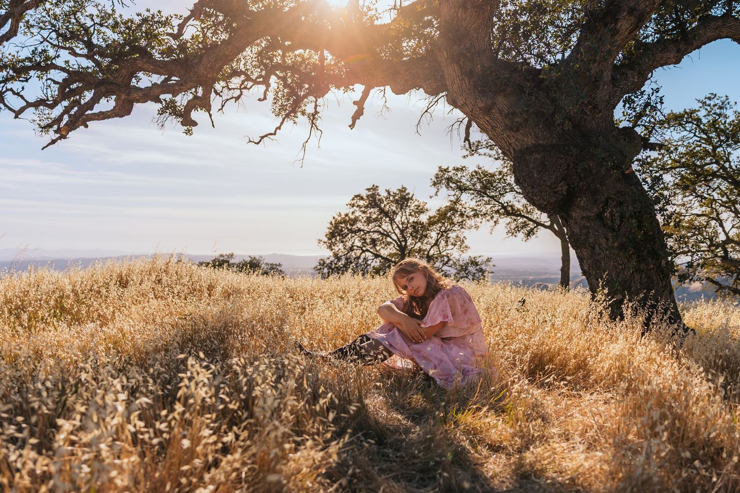 Woman in pink dress sitting under oak tree in golden sunlit hillside meadow with dry grass.