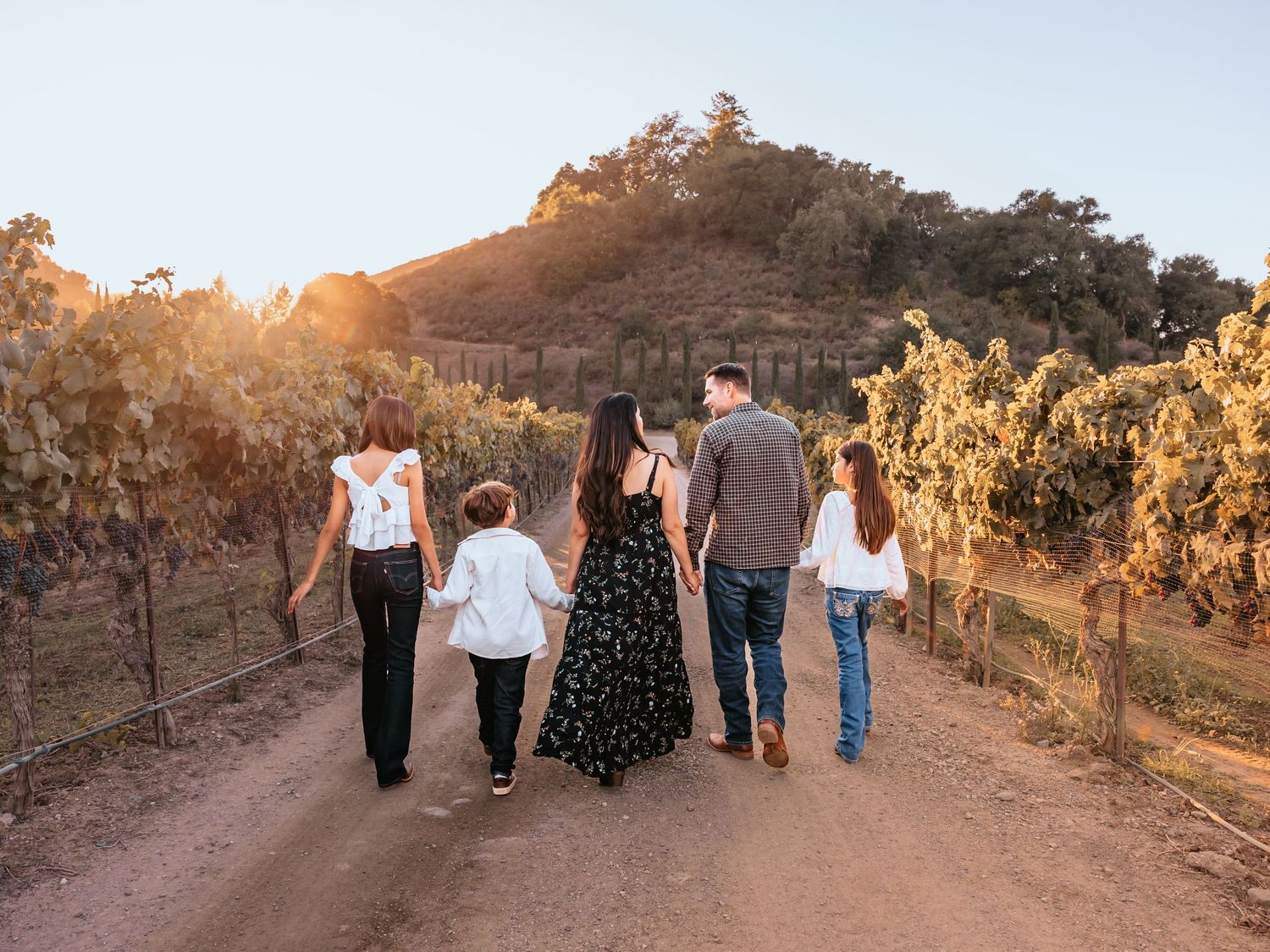 Family of five walking together down a vineyard path at golden hour sunset in wine country.