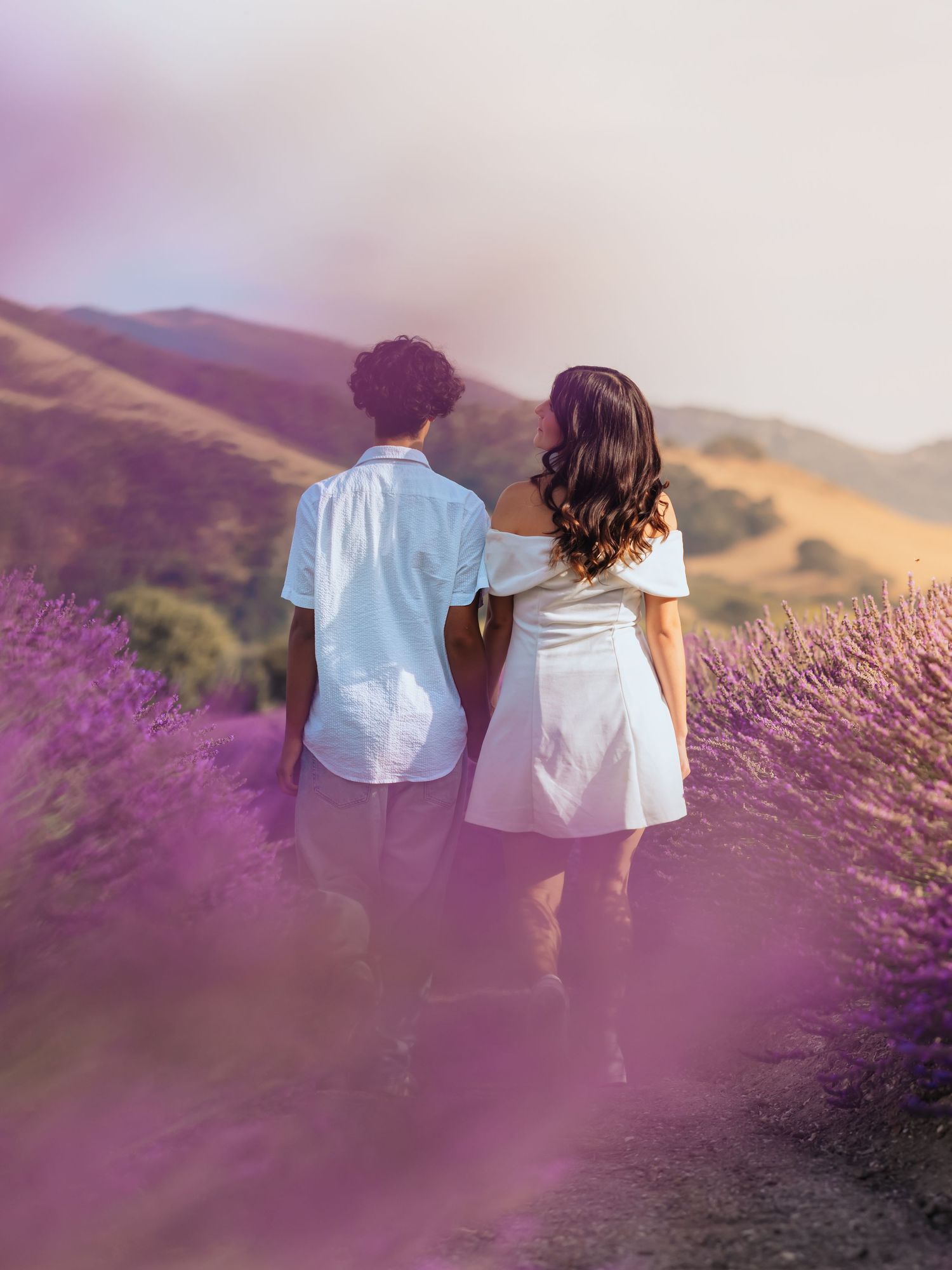 Couple holding hands walking through vibrant purple lavender fields with golden hills in the background.