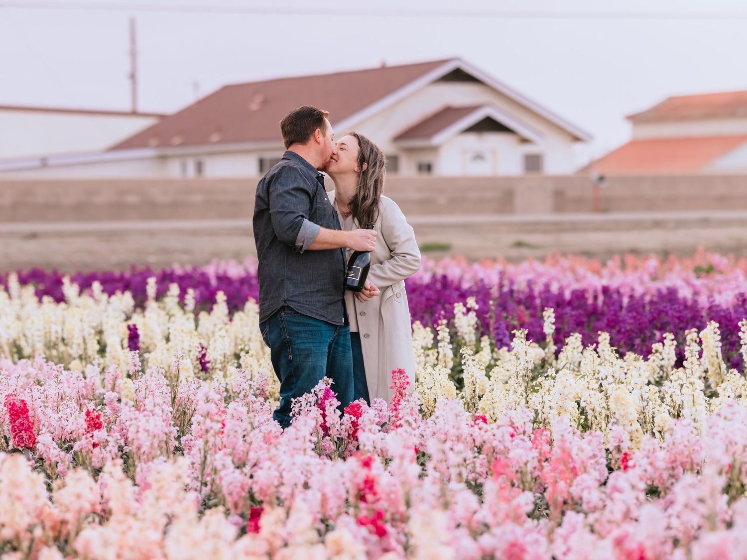 A couple embraces in a romantic moment surrounded by vibrant pink and purple flowers in a blooming flower field.