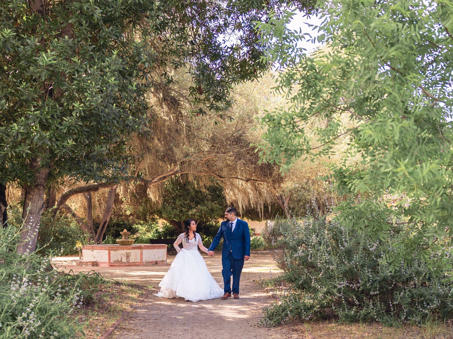 Bride and groom walking hand in hand along a tree-lined garden path on their wedding day.