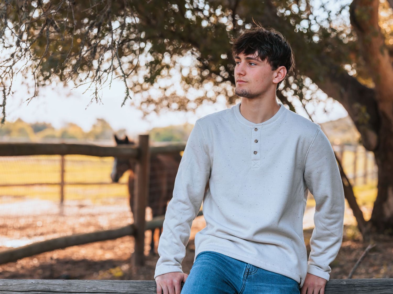 Young man in gray henley shirt sitting on wooden fence at golden hour with horse and oak tree behind.