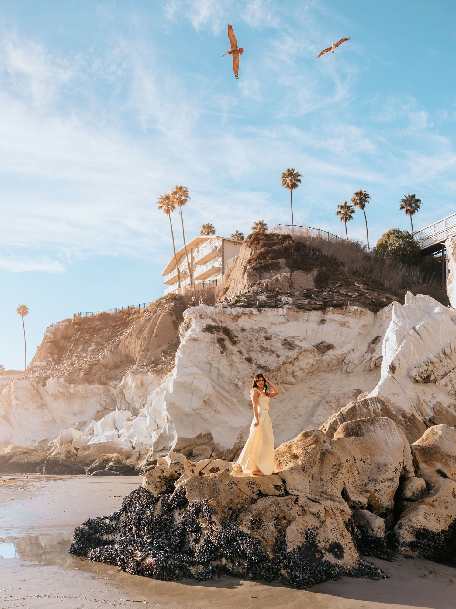 Woman in yellow dress standing on white coastal rocks with palm trees, cliffs, and seagulls at a sunny California beach.