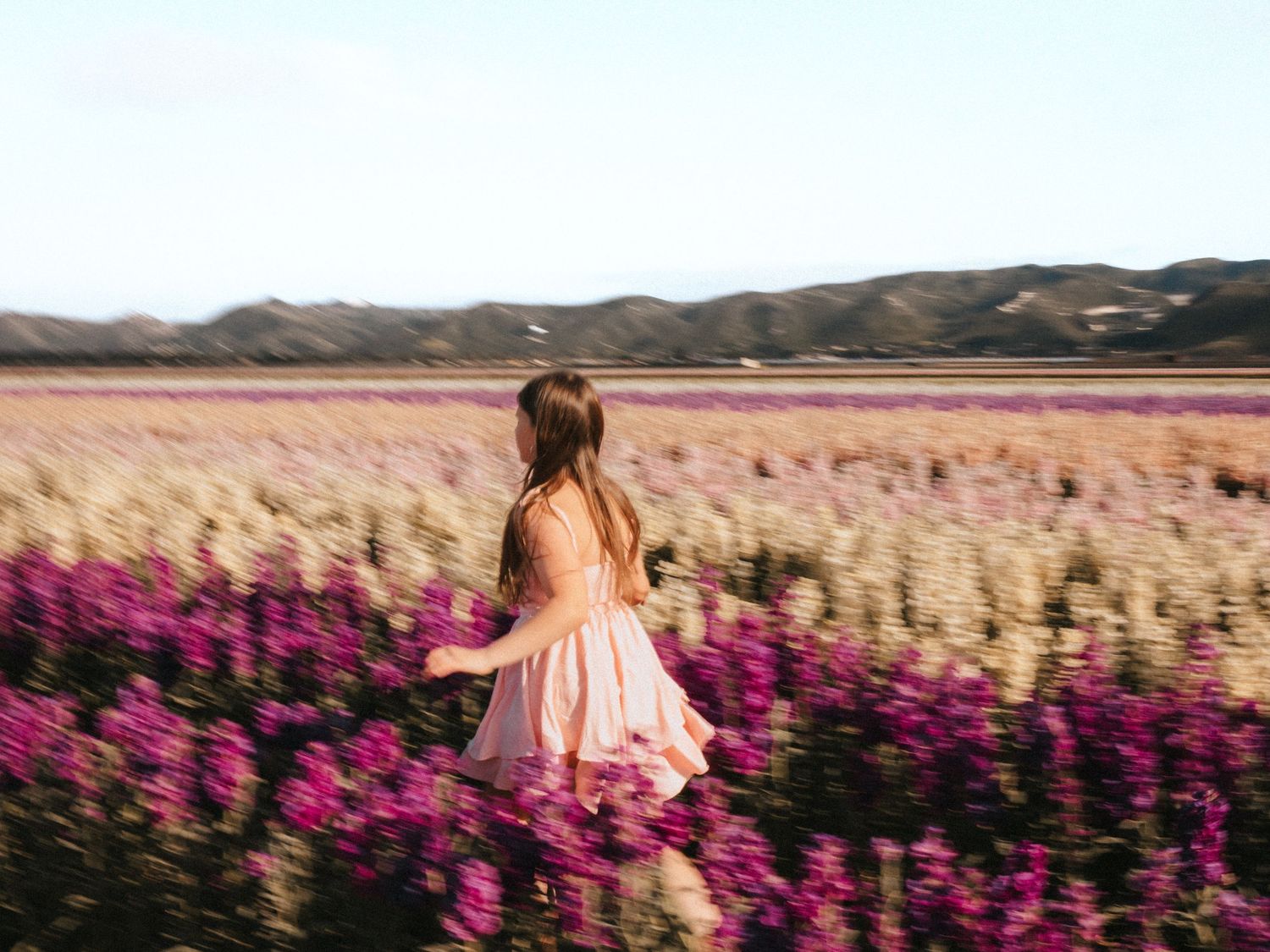 A figure in a pink dress walks through a vibrant field of magenta and golden wildflowers with rolling hills in the distance.