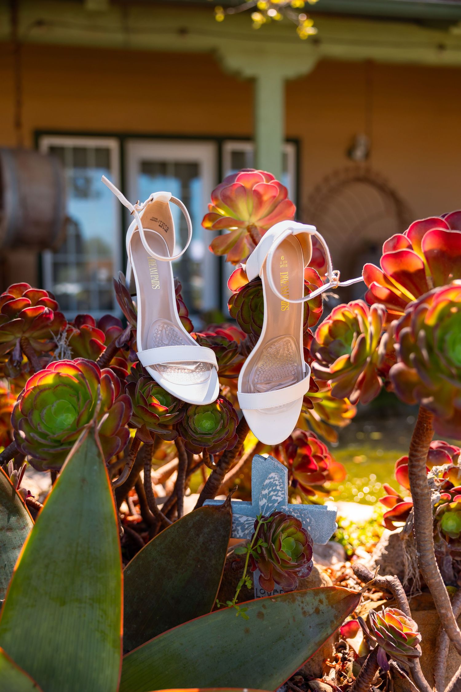White strappy bridal heels displayed among vibrant red and green succulent plants in a sunny outdoor garden setting.