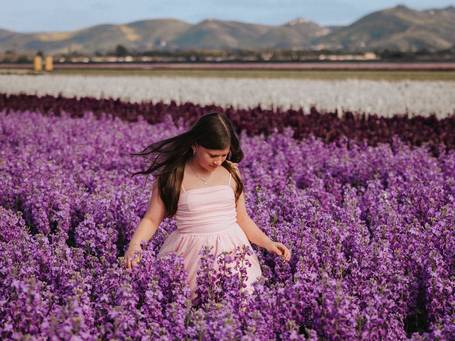 Woman in pink dress stands amidst vibrant purple lavender field with mountains in the distance.
