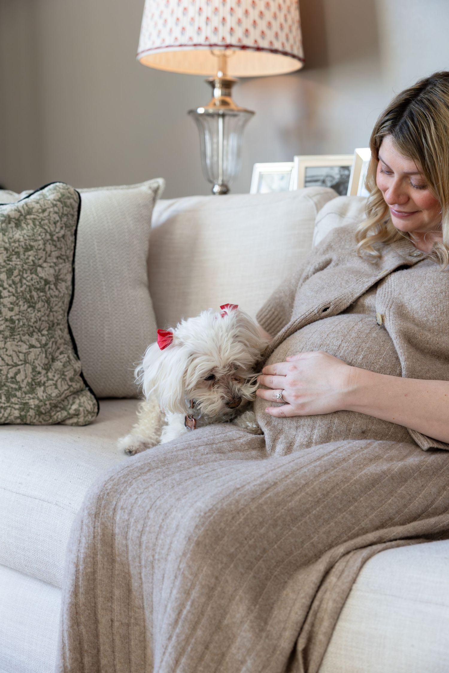 Pregnant woman in gray dress sitting on cream sofa with small white Maltese dog resting on baby bump.