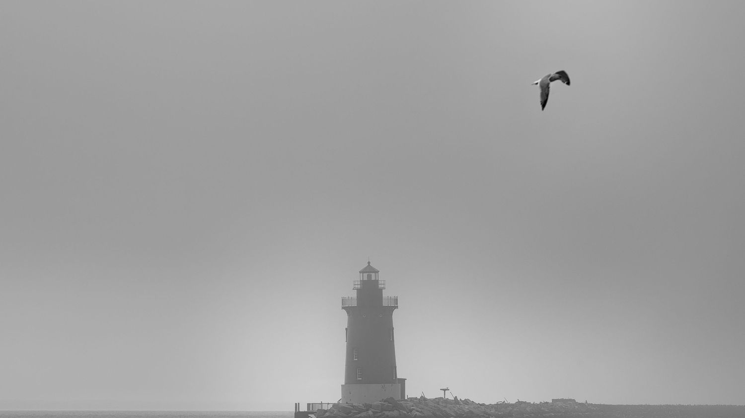 Rene Olivas Photography Cape Henlopen