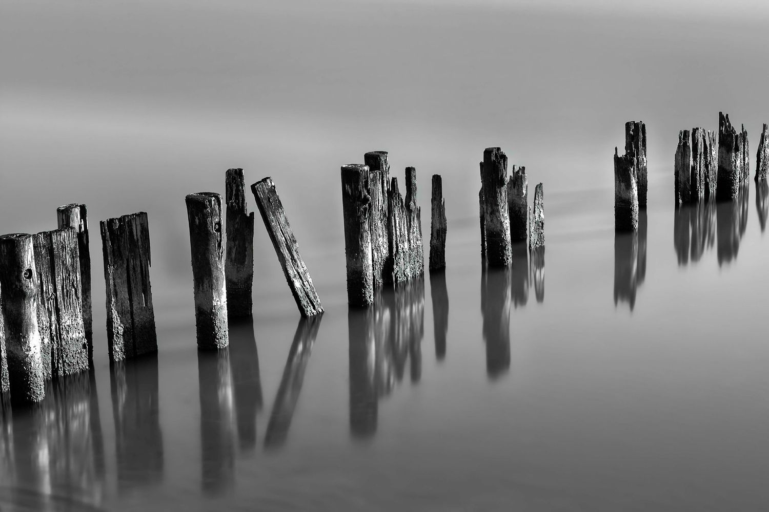 Rene Olivas Photography Sea Fence