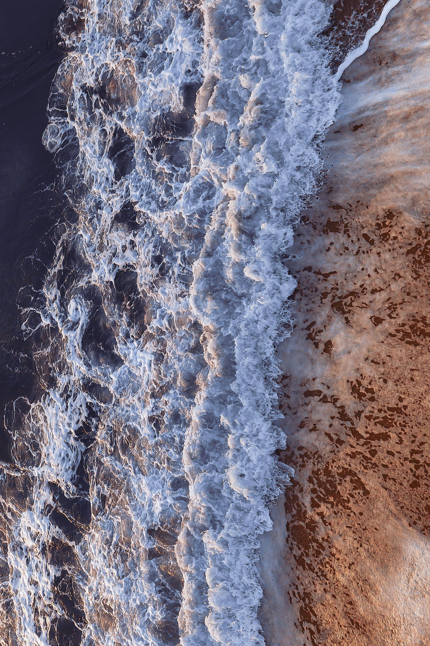 Rene Olivas Photography Flying Over the Beach, Delaware