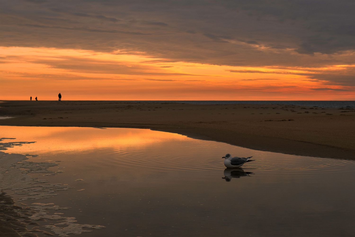 Rene Olivas Photography Delaware Coast Morning