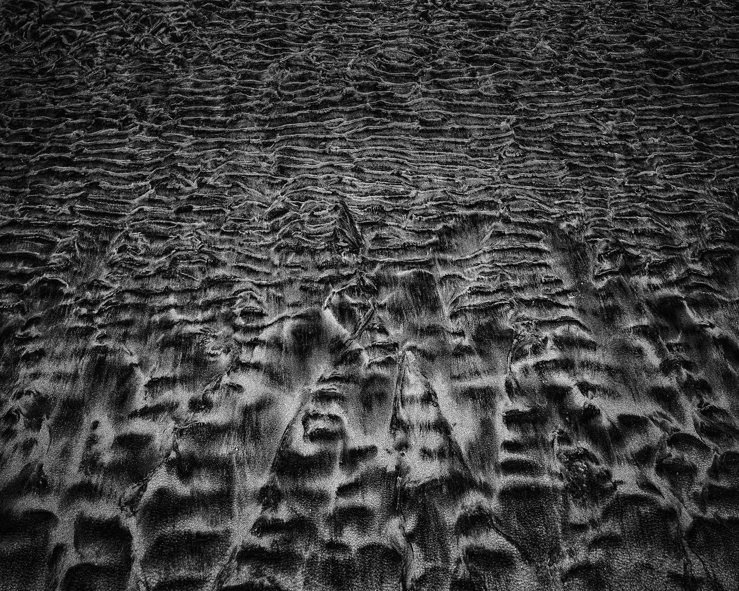 Rene Olivas Photography Norwegian Beach Sand