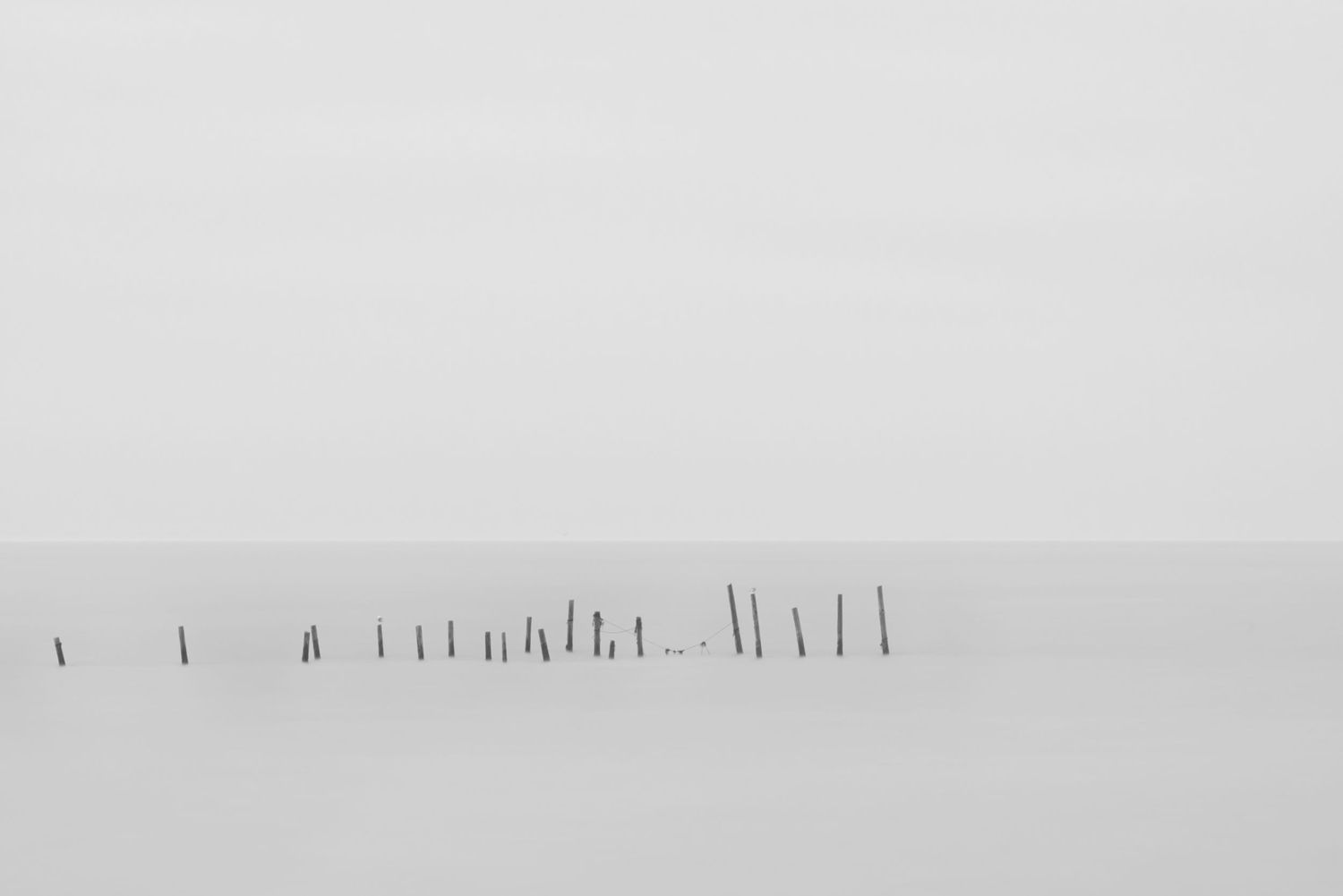Rene Olivas Photography Isolates