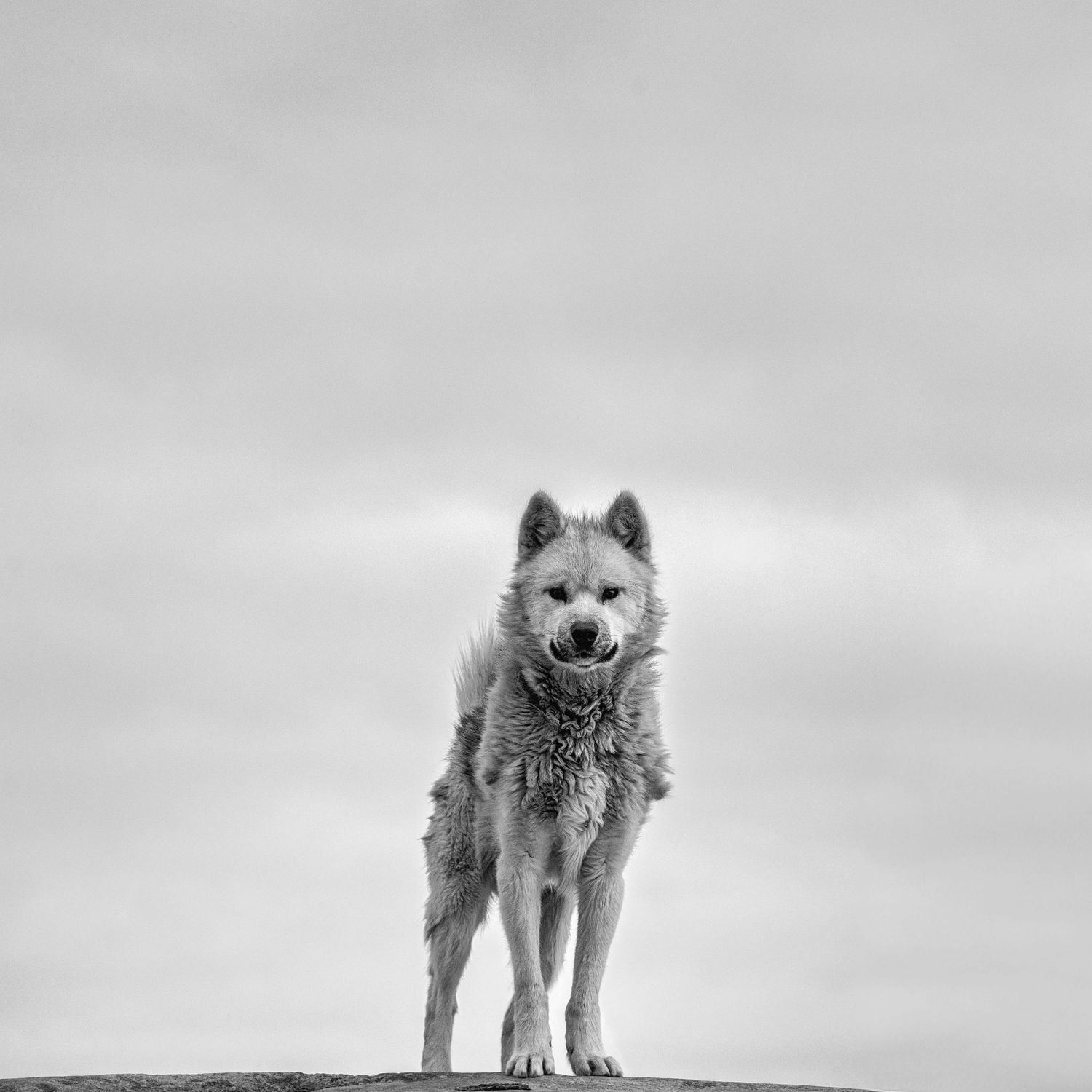 Fine Art Black and White