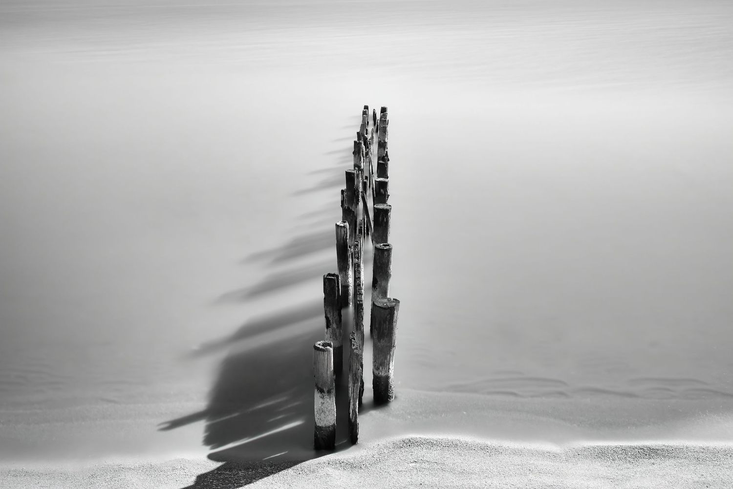 Rene Olivas Photography Into the Sea