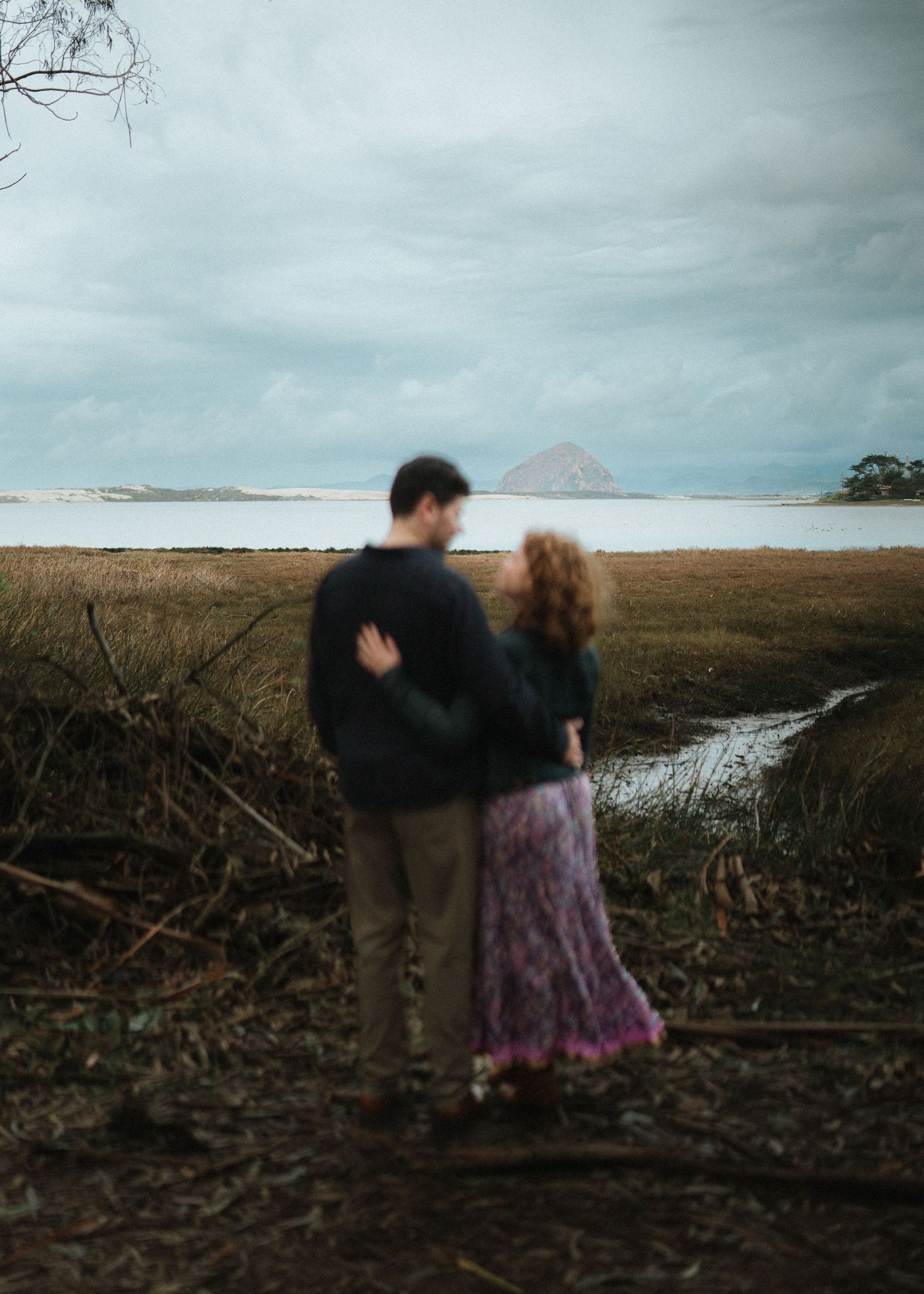 Blurred couple embraces while overlooking coastal wetlands with rocky island in background.