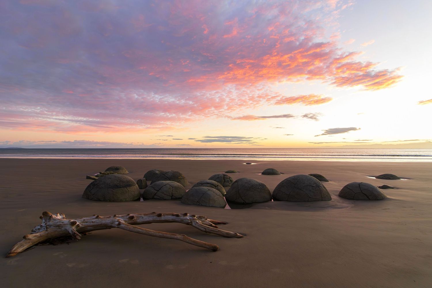Boulder row, Moeraki beach