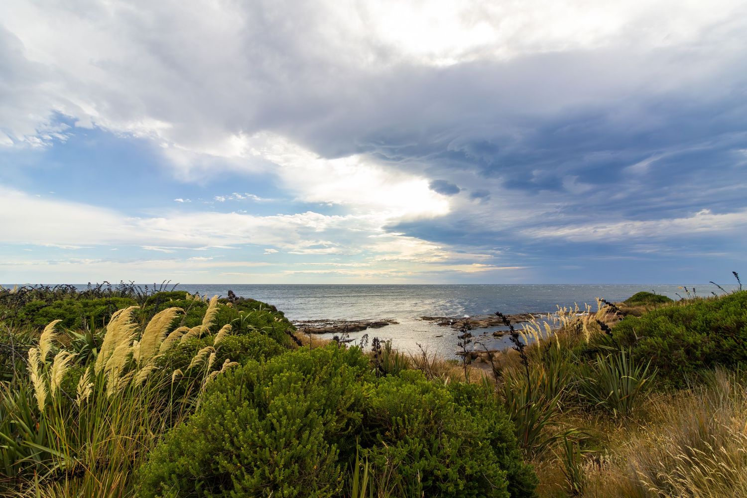 Shag point, Otago