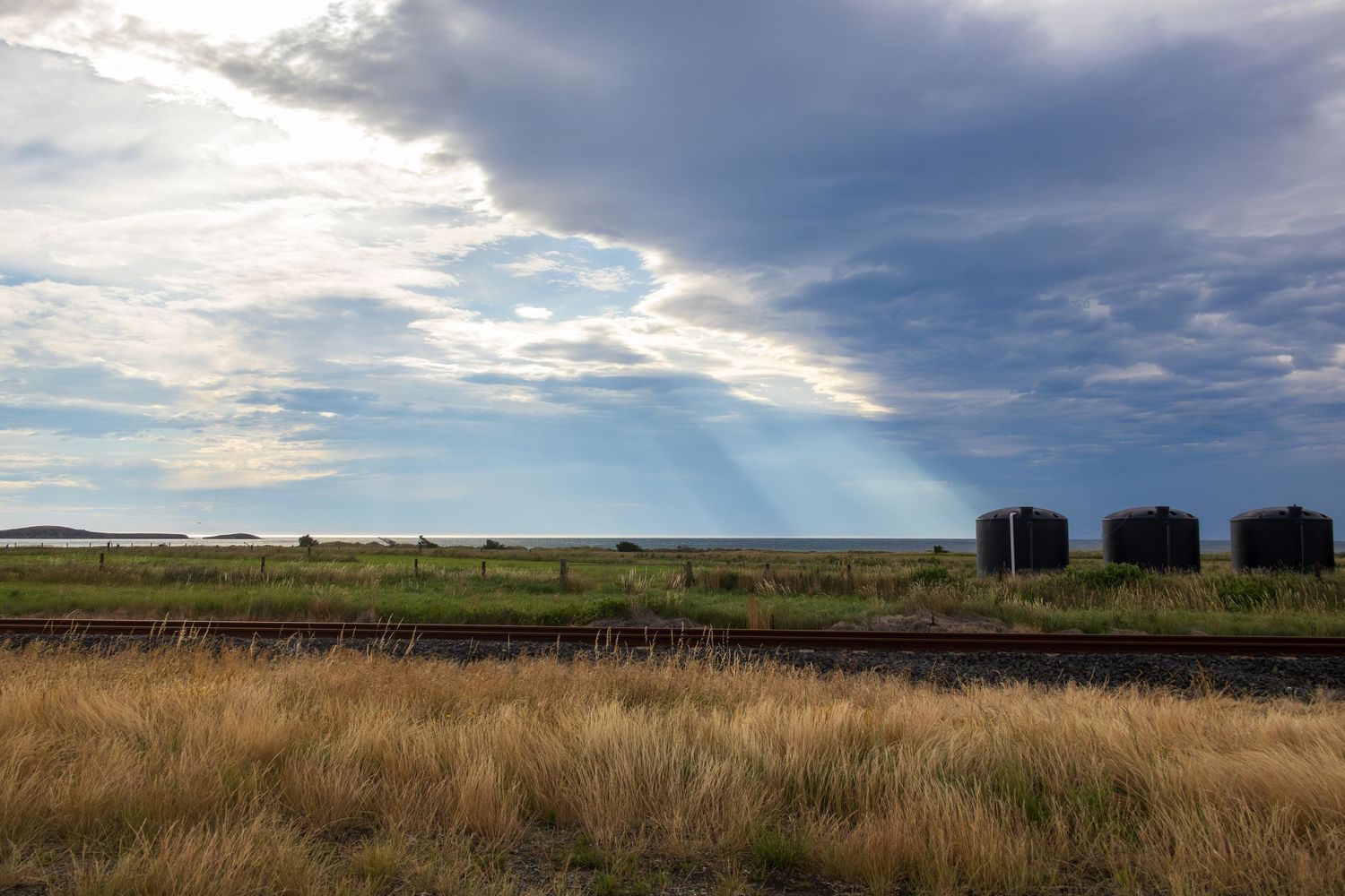 Katiki, Otago