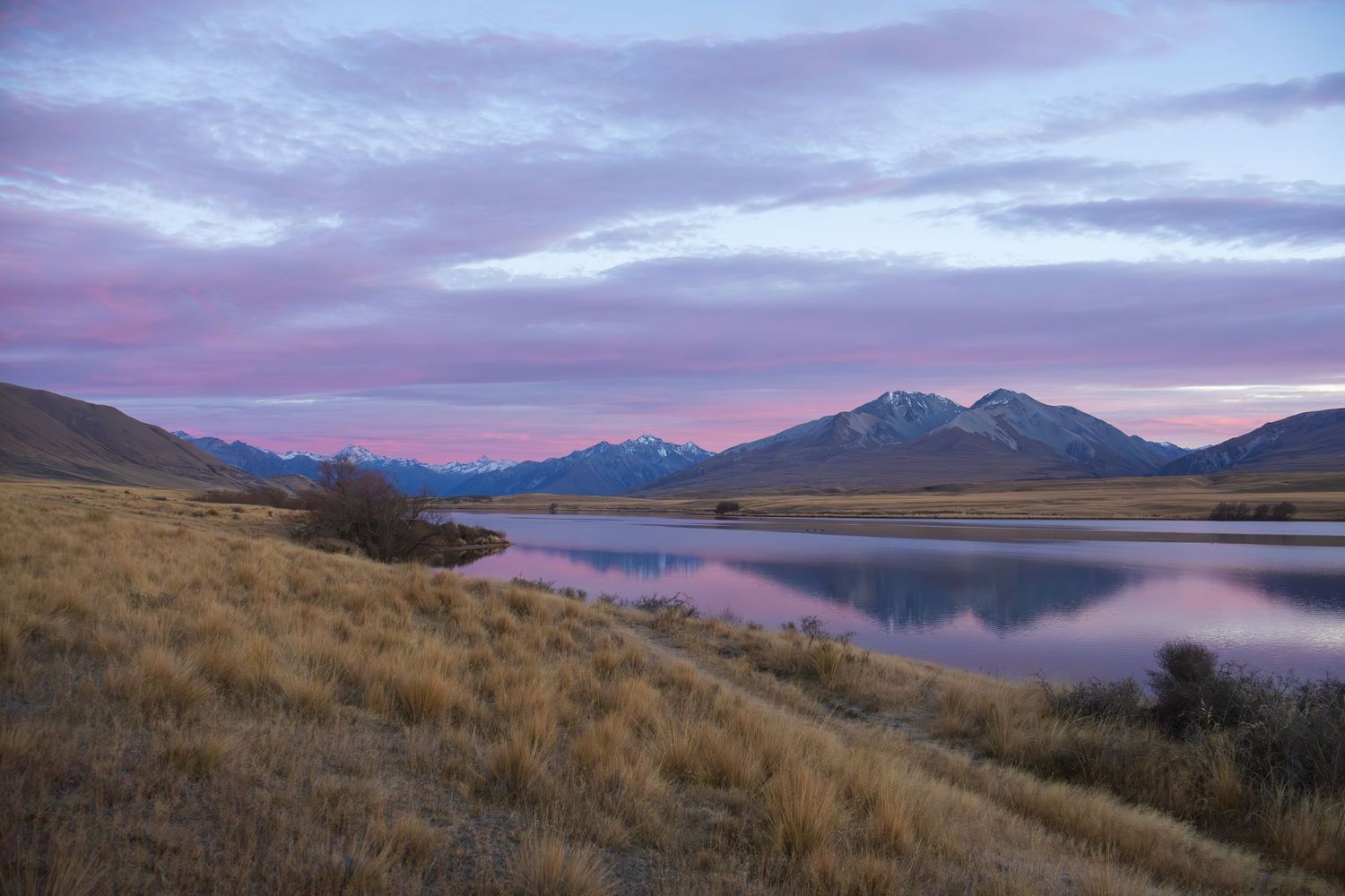 New Zealand landscapes. 
Pink skies at Lake Clearwater