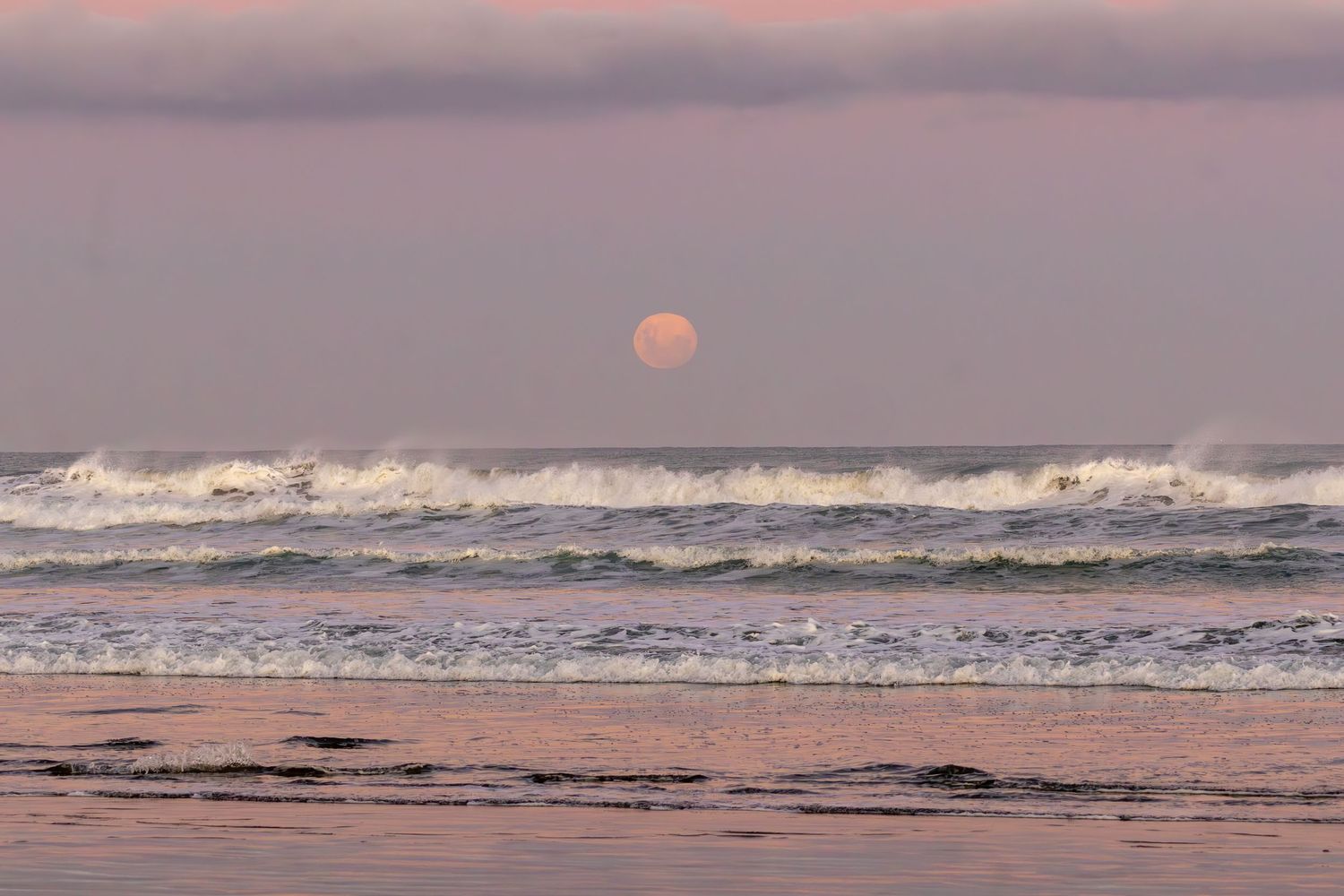 Pink moon, New Brighton