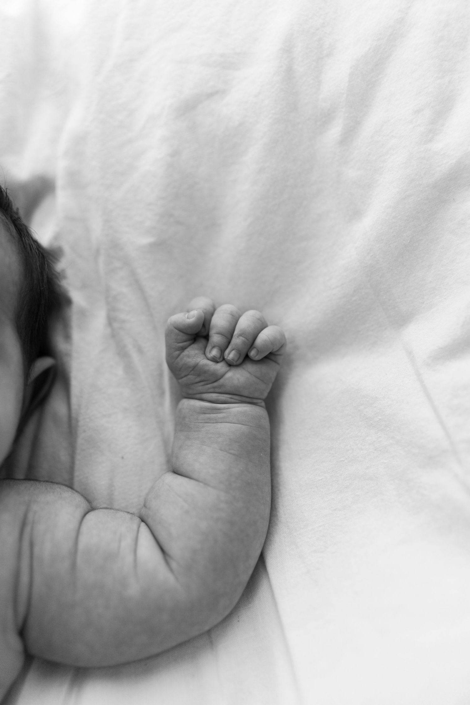 nyfødt babyfoto naturlig lys hjemme
nyfødtfotografering baby i armene til foreldre
nyfødtbilder lifestyle hjemme i Oslo
baby nyfødtfoto