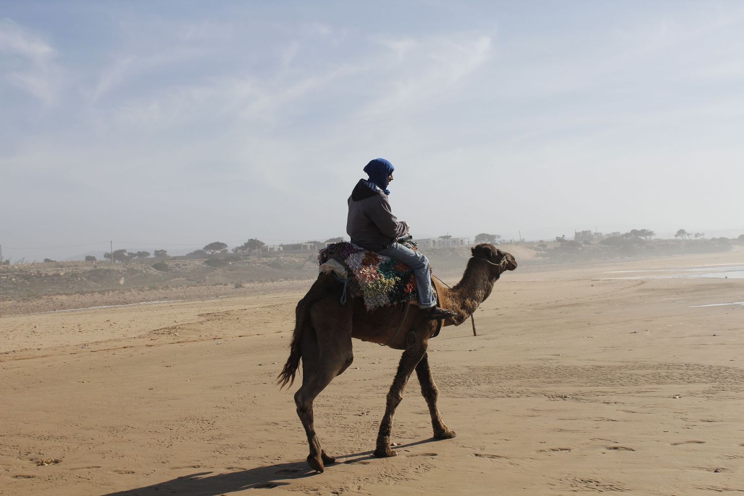A man on a camel on a sunlit beach in Morocco by Cat Heygate Photo
