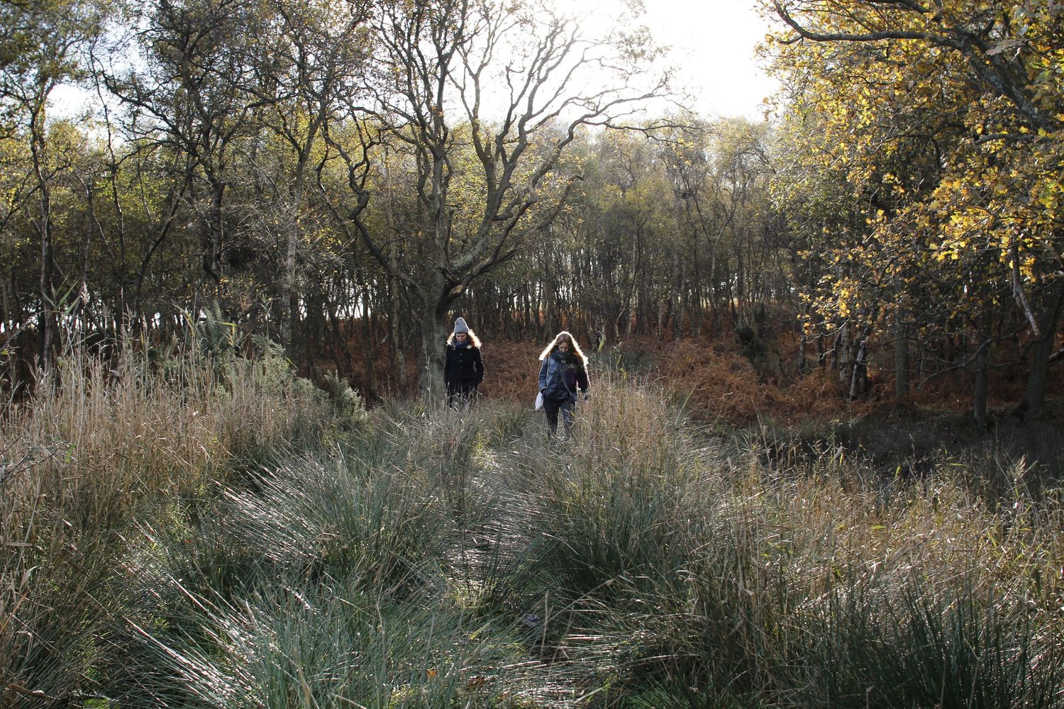 Landscape of the Suffolk countryside natural light captured by brand photographer Cat Heygate