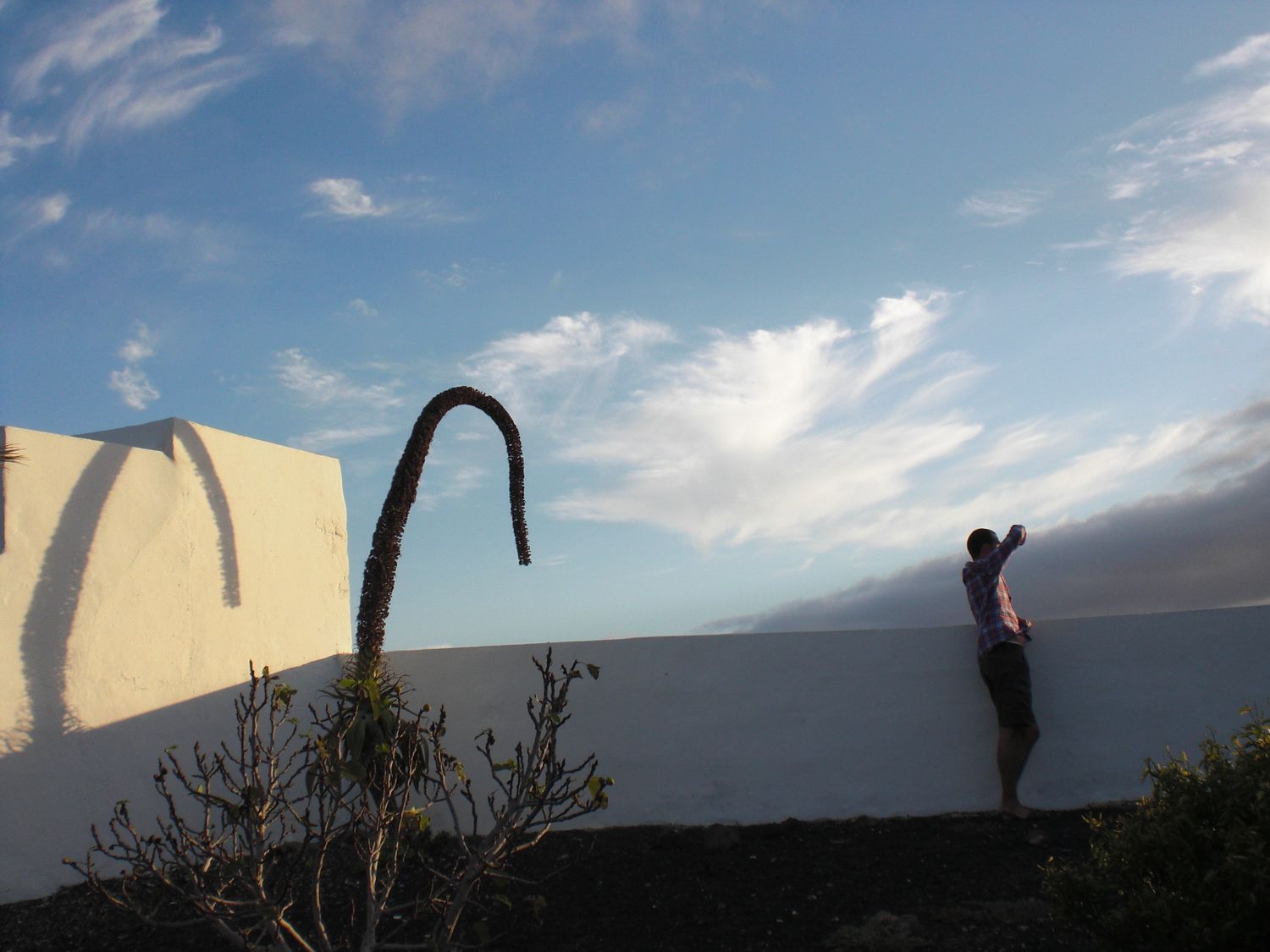 Man shielding eyes from the sun next to large plant Lanzarote by Cat Heygate Photo