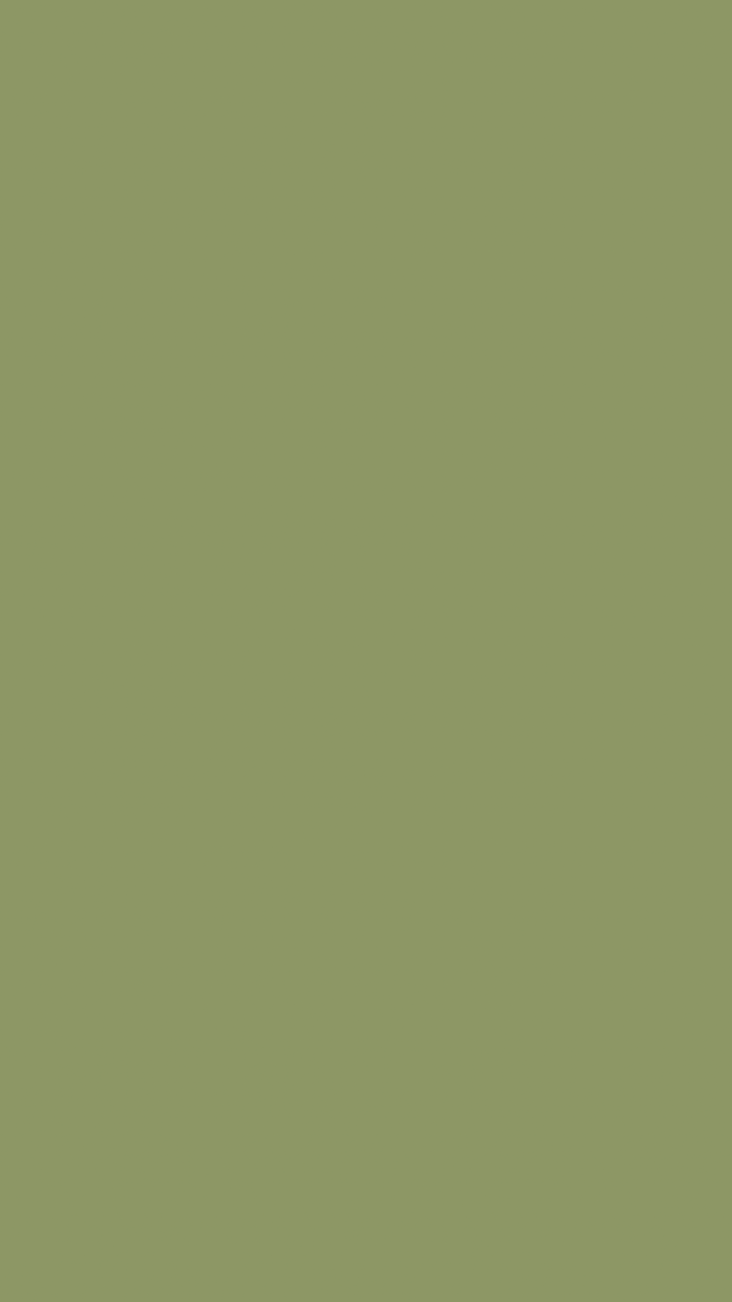 Solid earthy olive green color swatch with a muted, natural tone for creative design use.