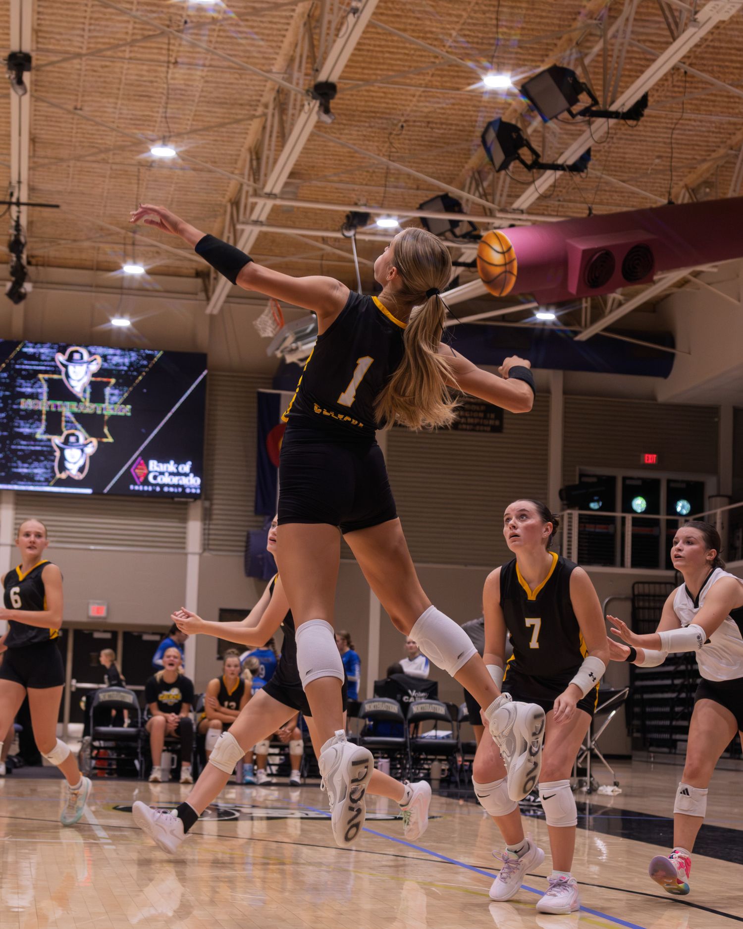 Female volleyball player number 1 leaps to spike the ball during an indoor collegiate match.