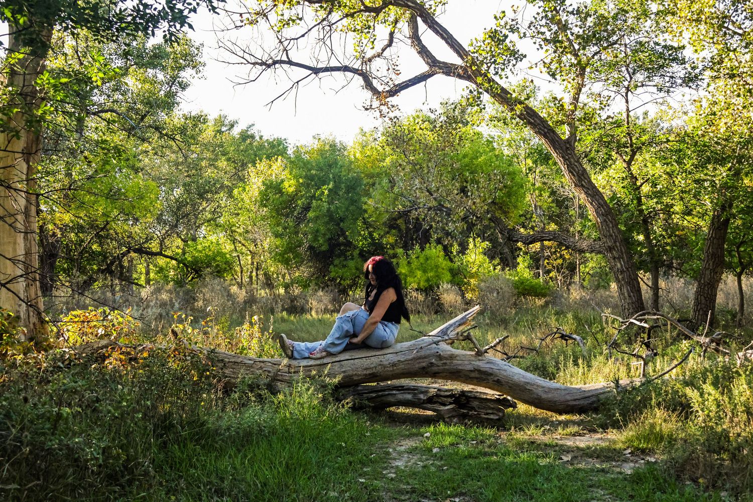 Young woman with red hair sitting on fallen log in lush green forest in golden sunlight.