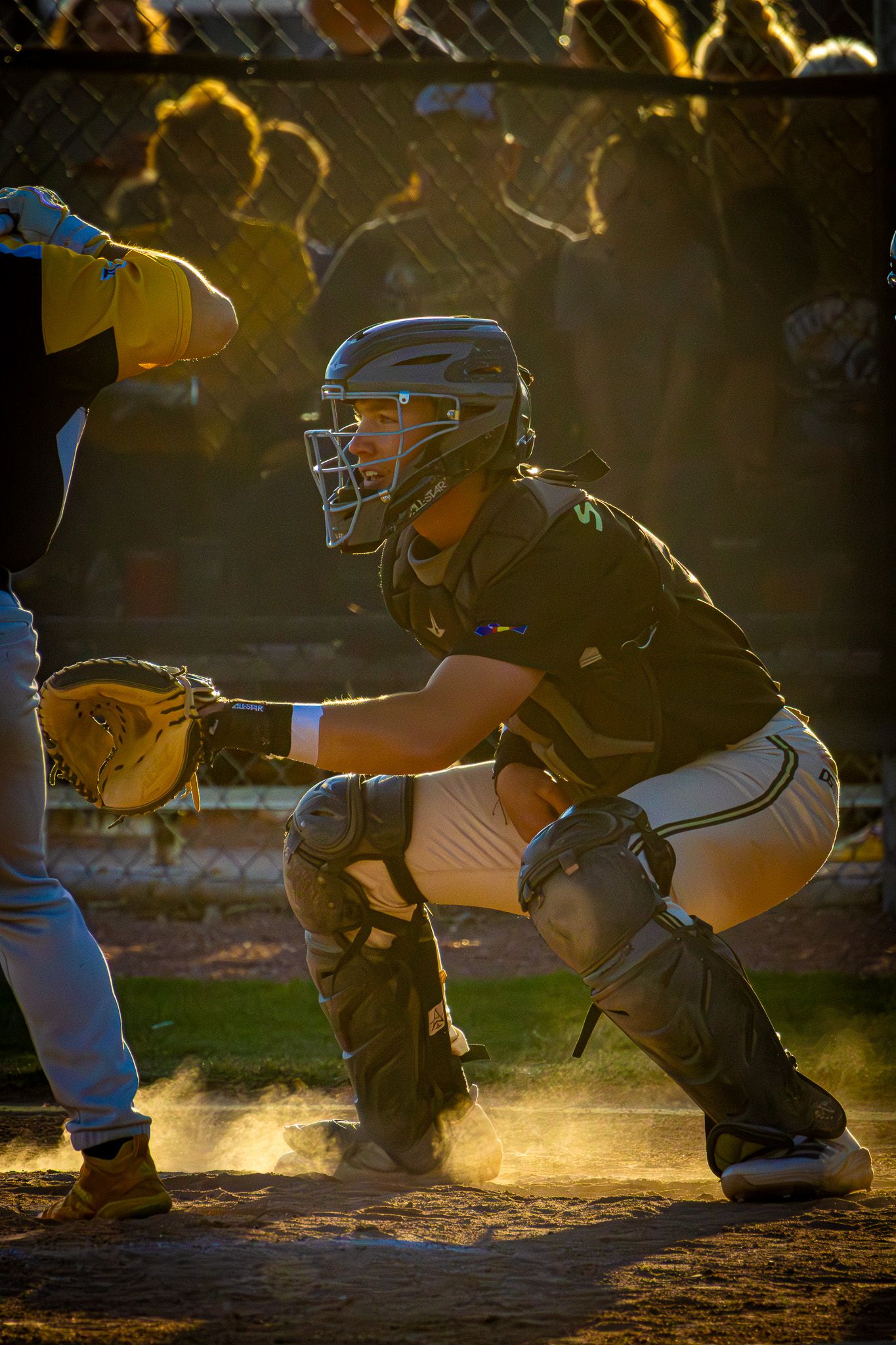 A baseball catcher crouches in position behind home plate in dramatic golden sunset lighting.