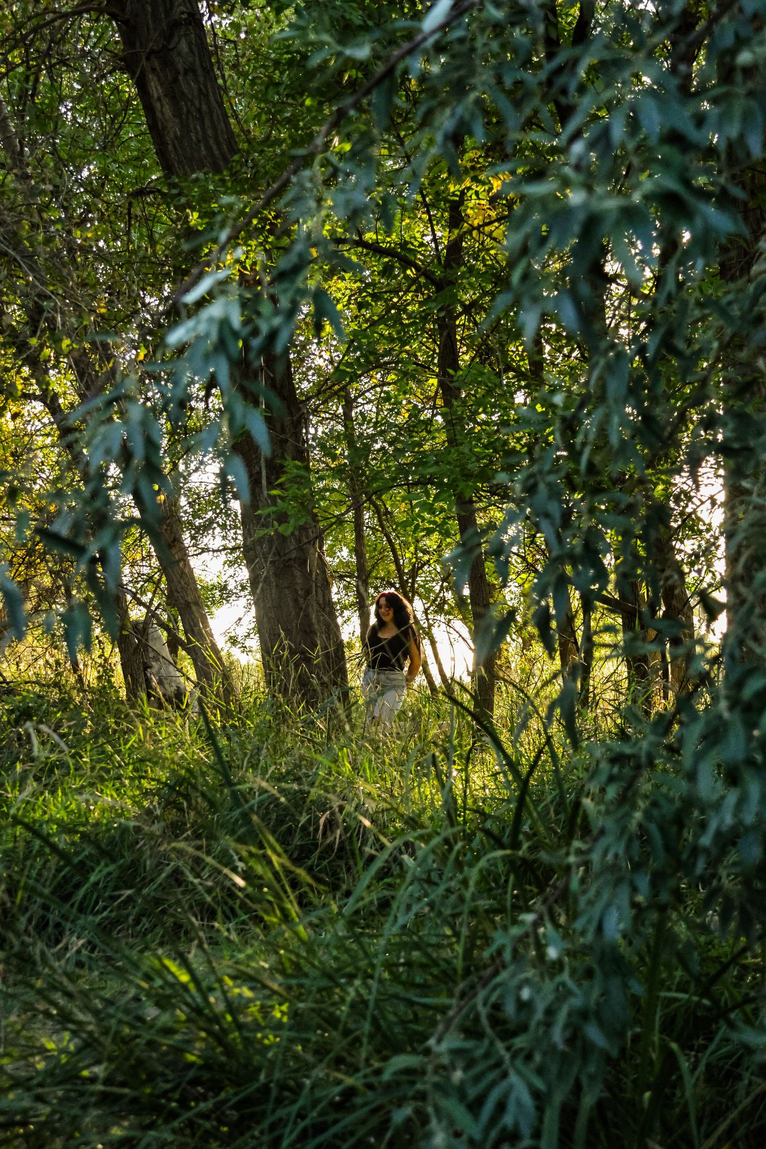 Young woman standing among green trees in a sunlit forest, framed by hanging willow branches.