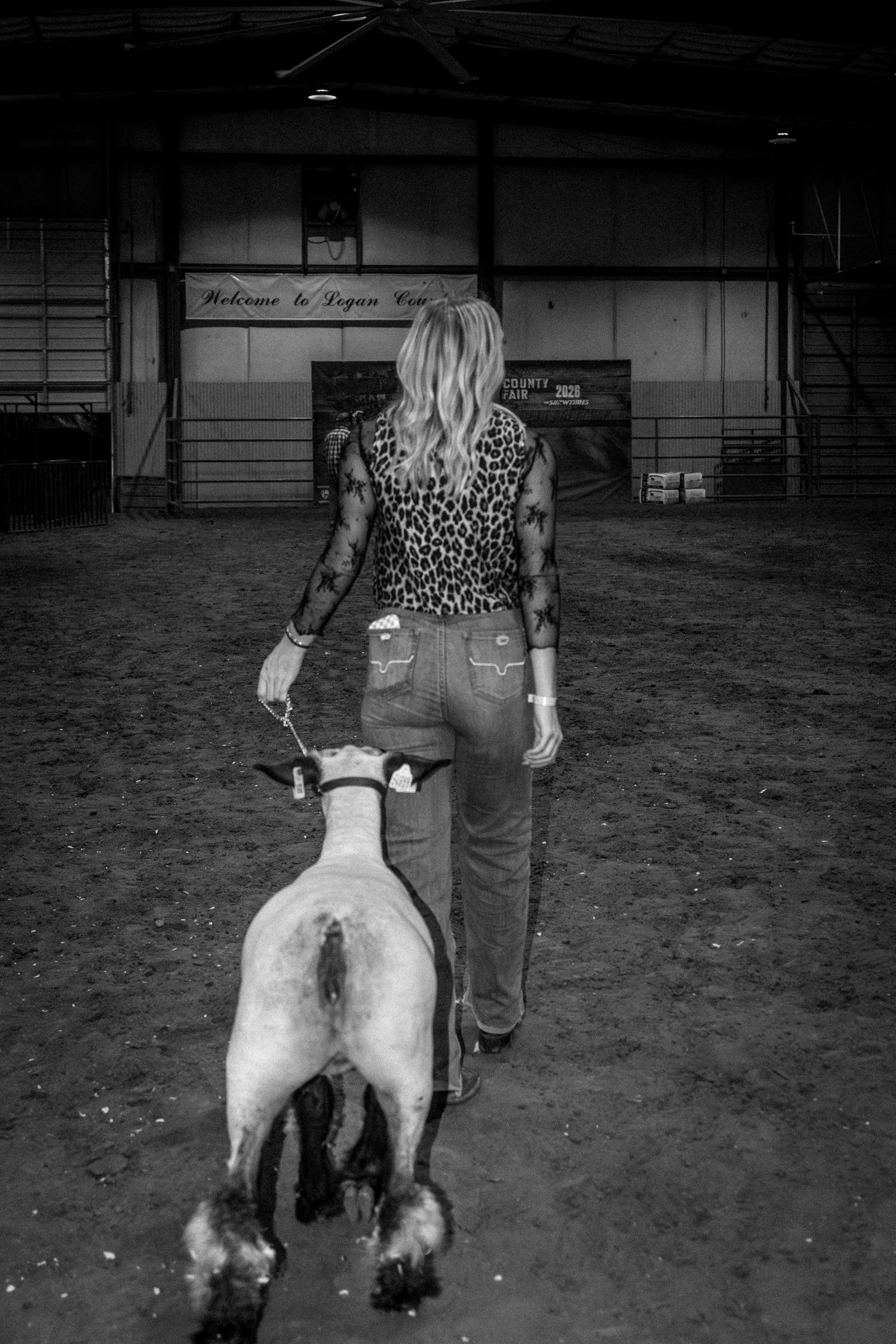 Black and white photo of a blonde girl leading a sheep inside a livestock show arena.