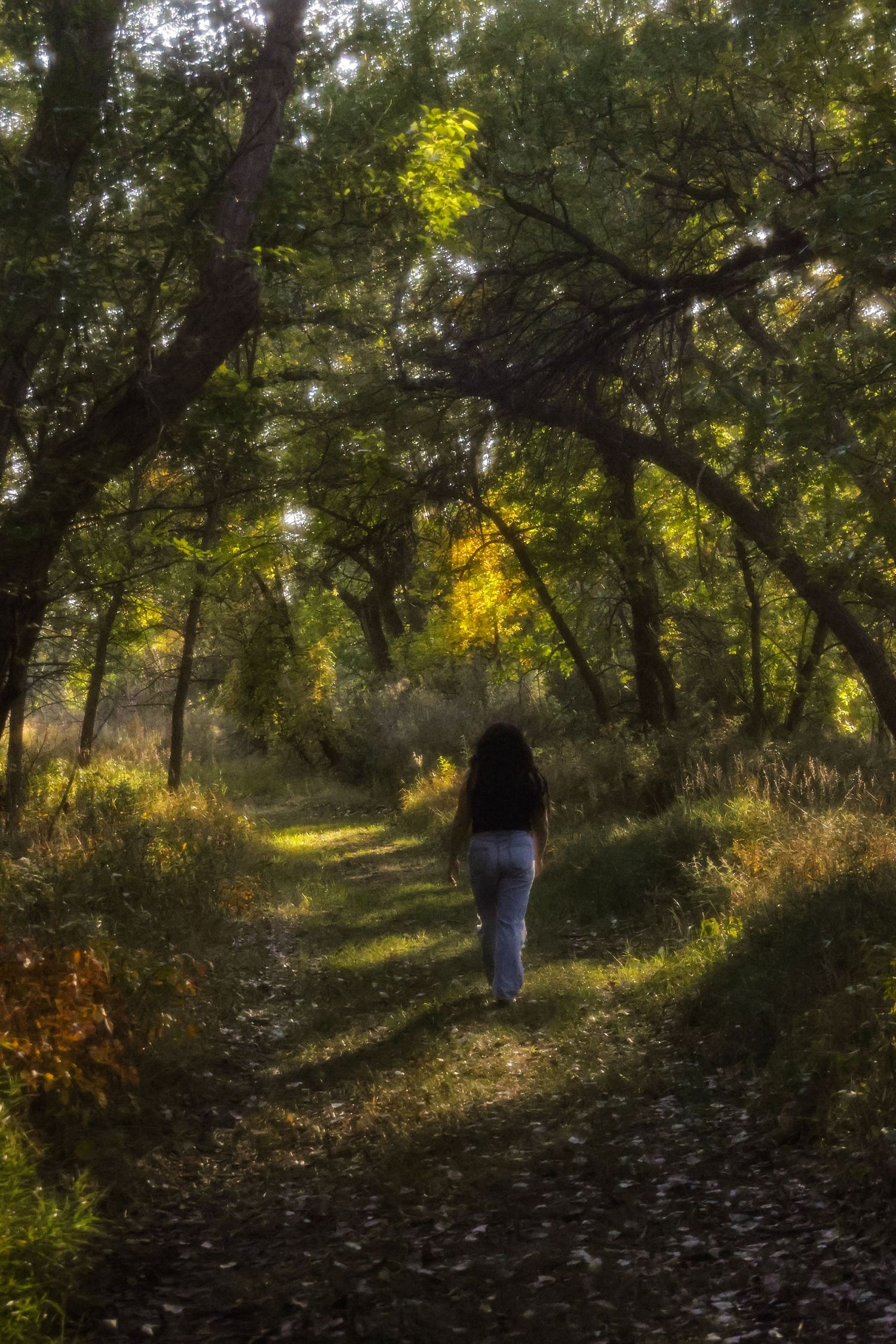Woman walking alone down a sunlit forest path surrounded by green trees in autumn light.