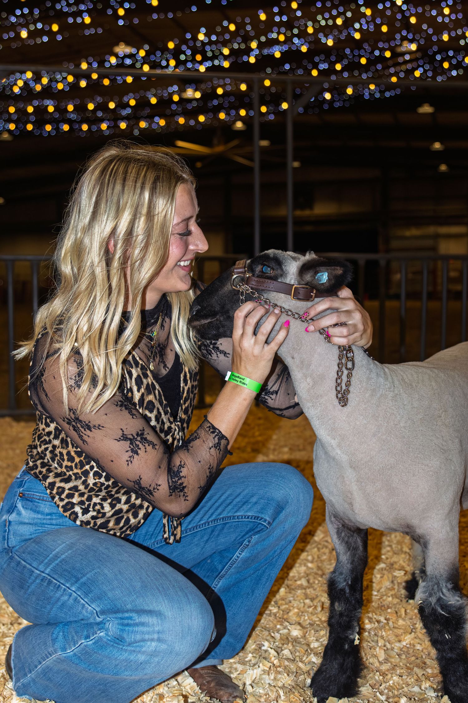Blonde woman in leopard print top smiling while petting a gray show lamb inside a festive lit barn.