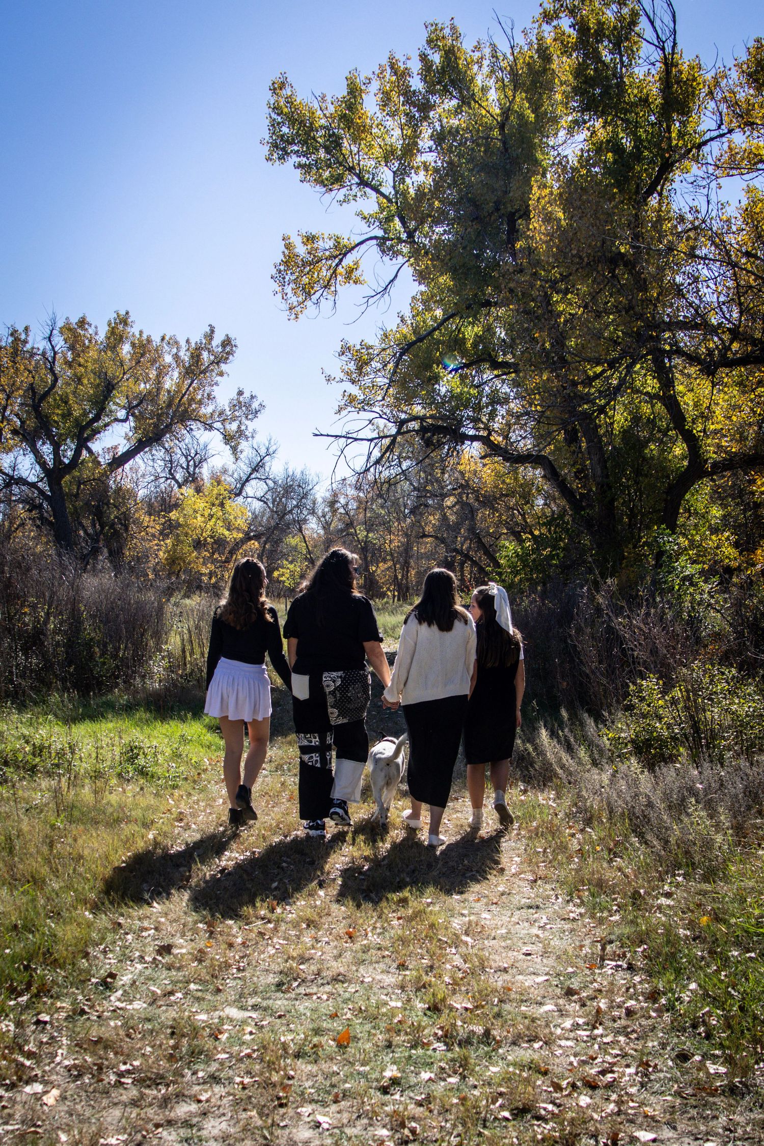 Four people walking away on a sunny autumn trail surrounded by colorful fall trees.