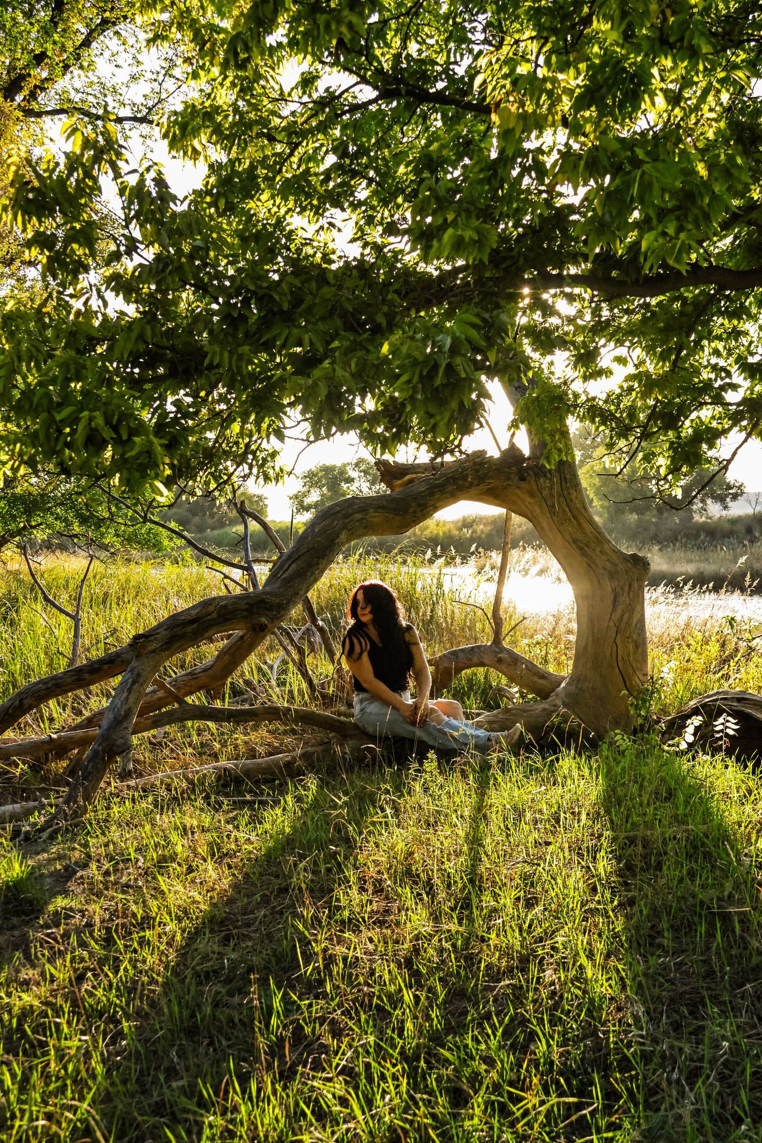 Young woman sitting under a large curved tree by a river in warm golden sunset light.