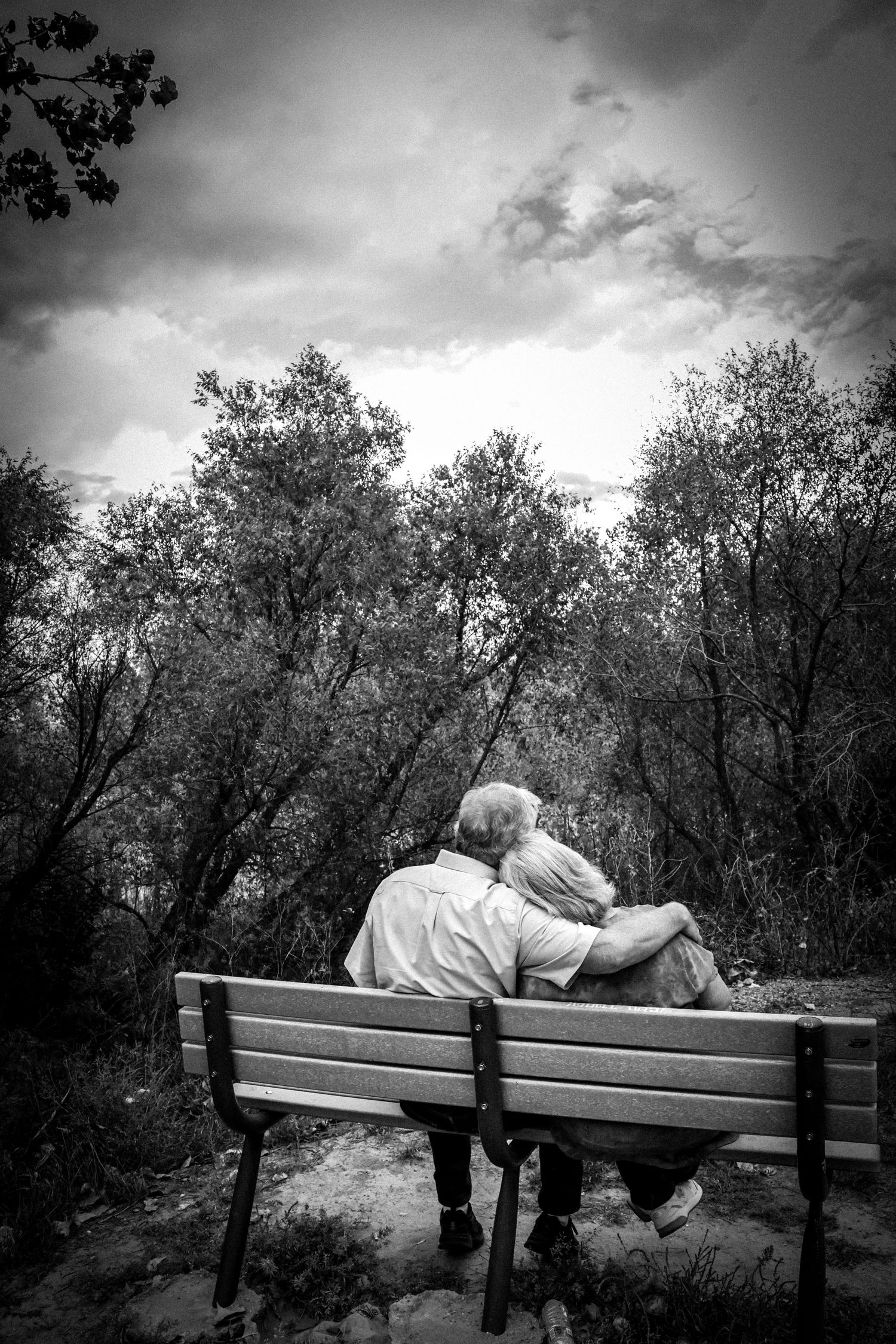 Elderly couple sitting closely together on a wooden bench surrounded by trees in a black and white photo.